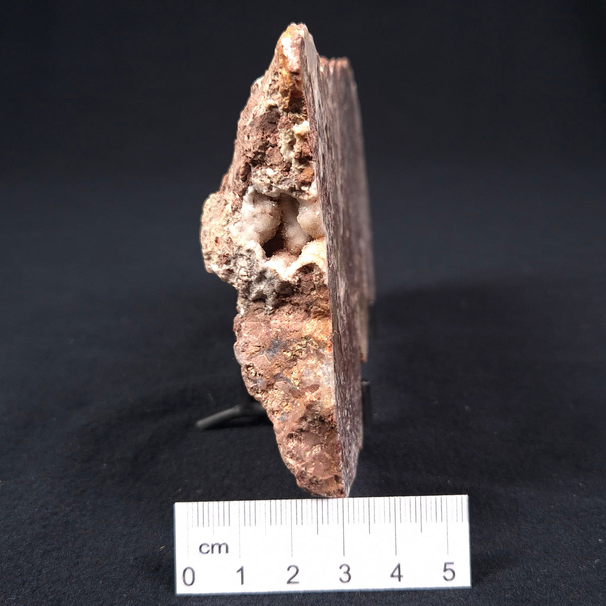 MADIGANITES MAWSONI STROMATOLITE, Cambrian, Australia ZMM003