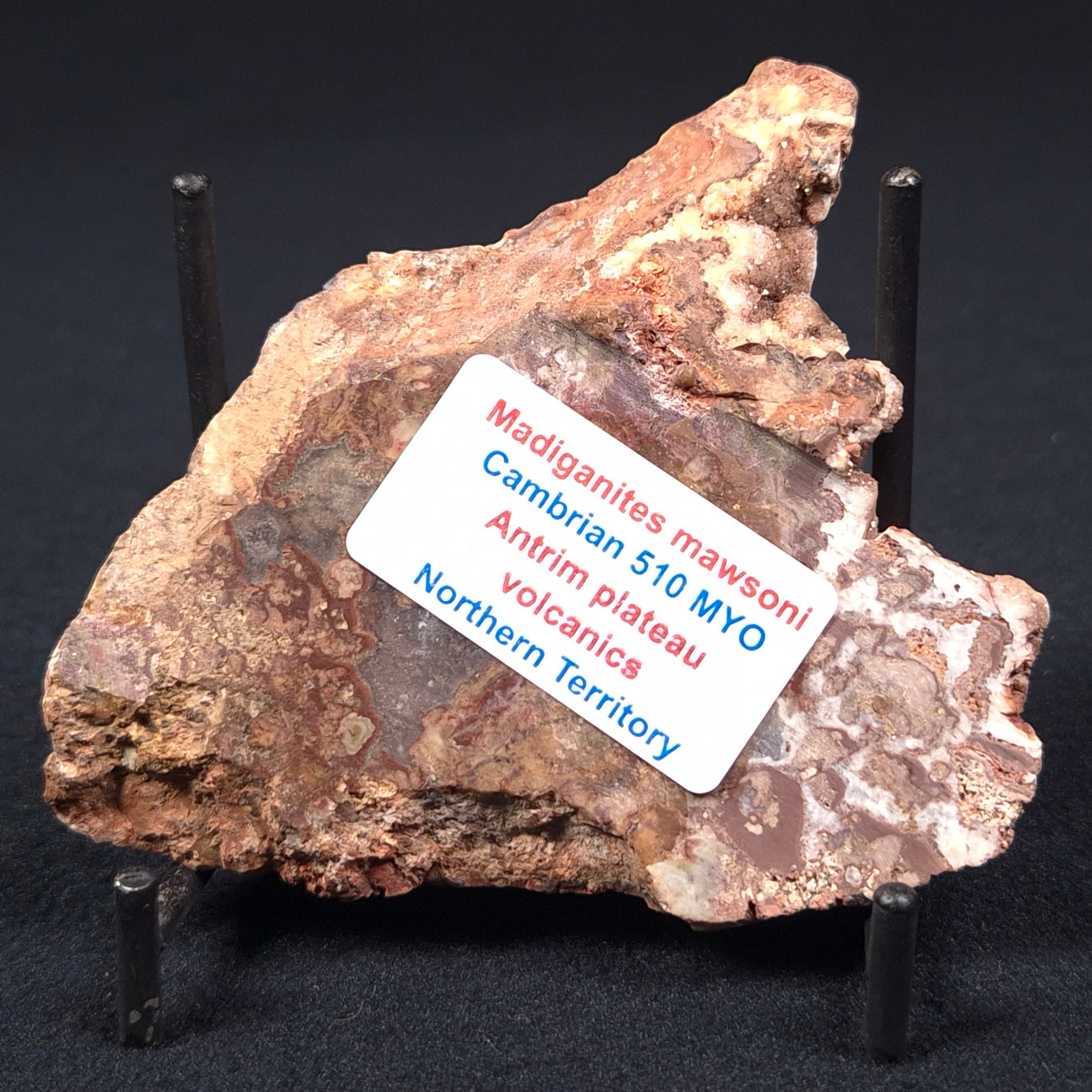 MADIGANITES MAWSONI STROMATOLITE, Cambrian, Australia ZMM004