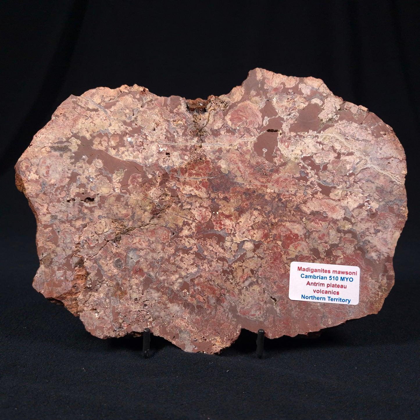 MADIGANITES MAWSONI STROMATOLITE, Cambrian, Australia ZMM009
