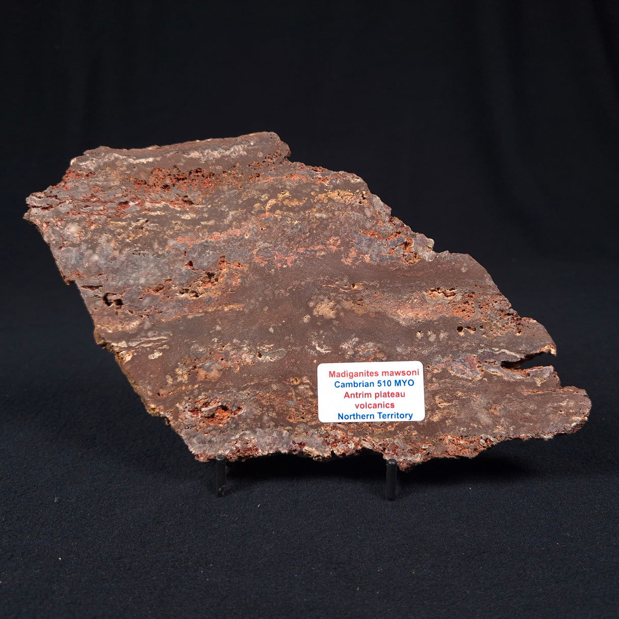 MADIGANITES MAWSONI STROMATOLITE, Cambrian, Australia ZMM010