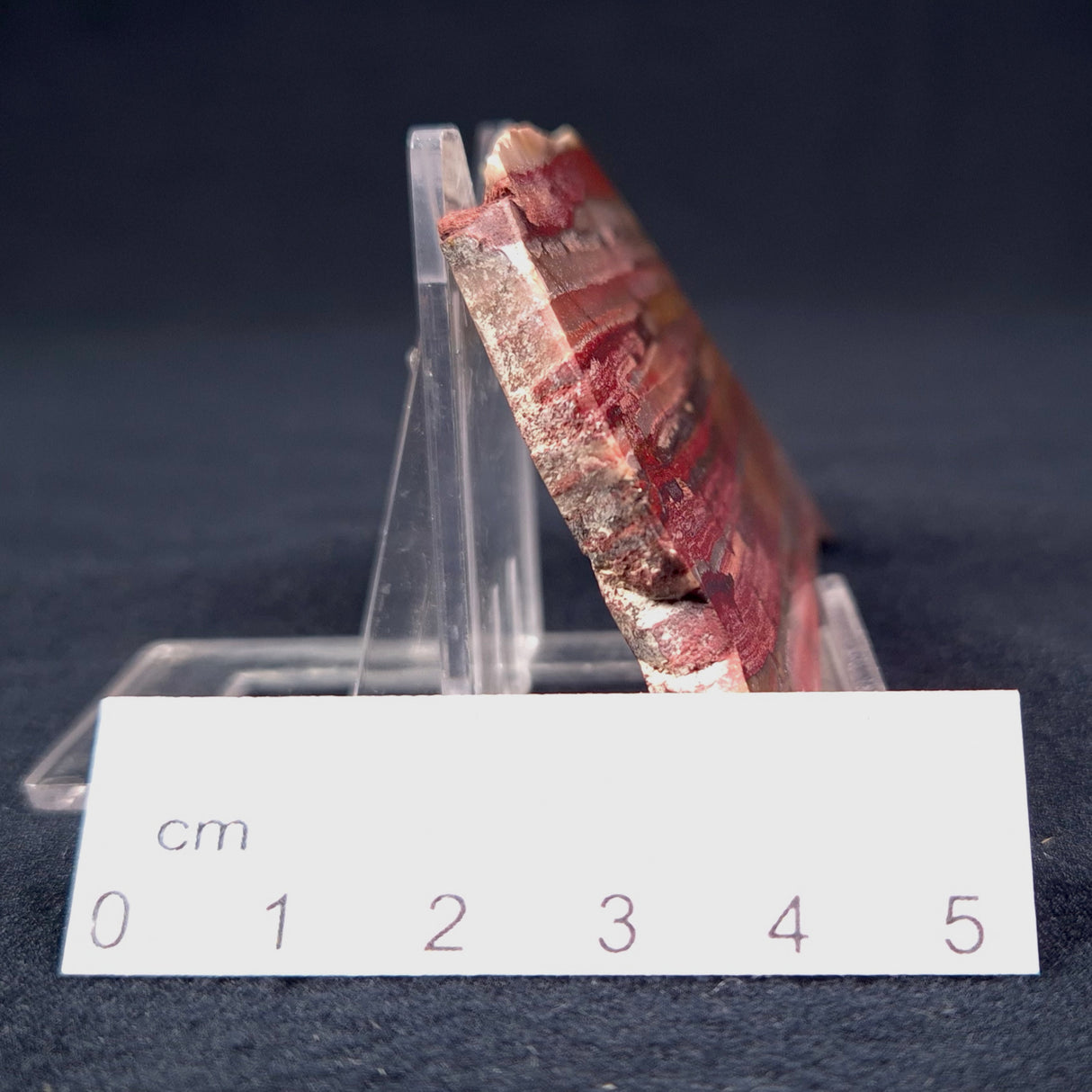 BANDED IRON FORMATION, Archean, Australia ZMB001