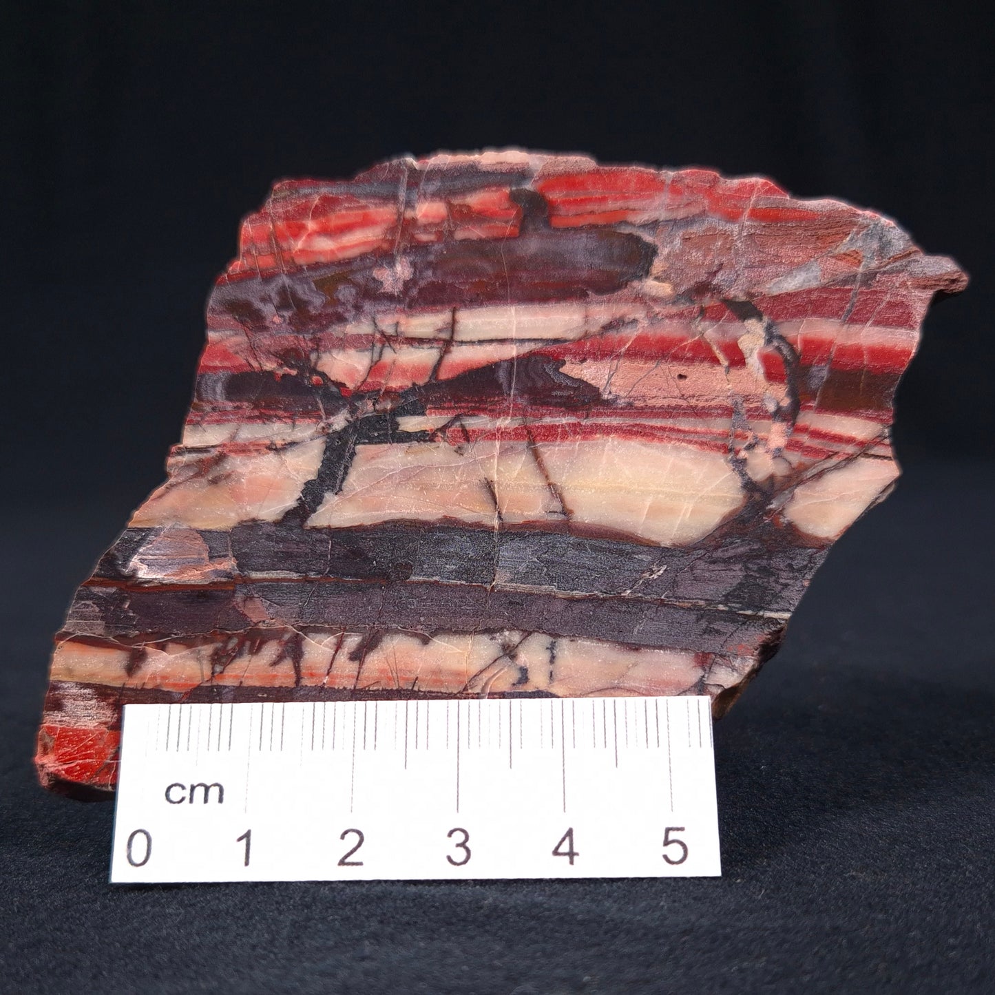 BANDED IRON FORMATION, Archean, Australia ZMB002