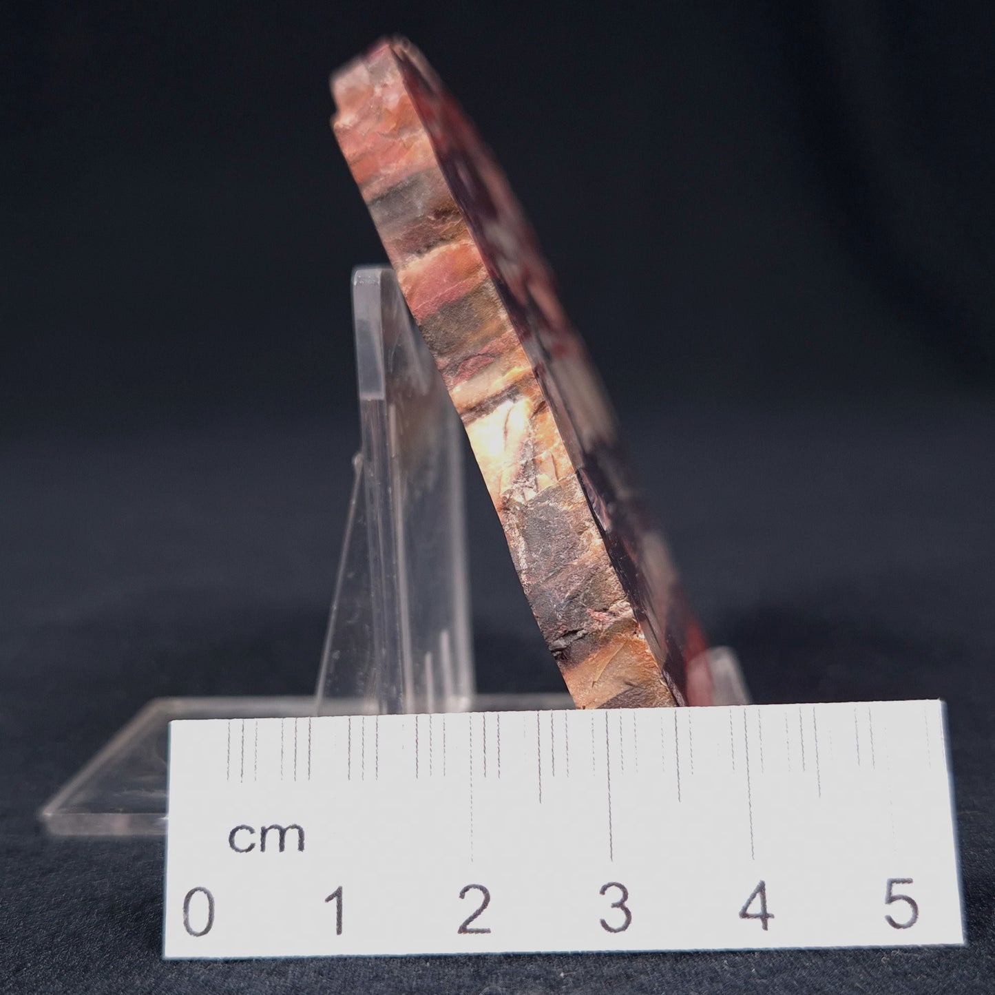 BANDED IRON FORMATION, Archean, Australia ZMB002