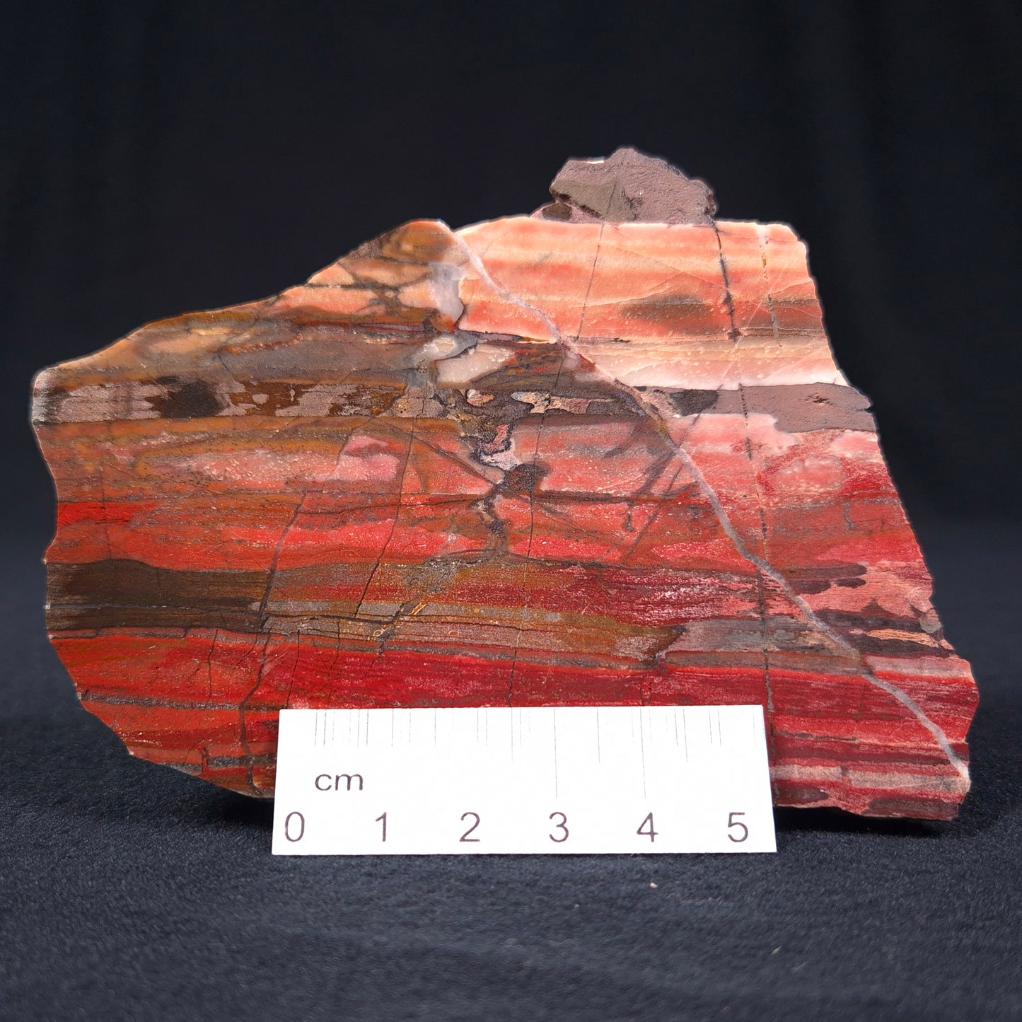 BANDED IRON FORMATION, Archean, Australia ZMB003