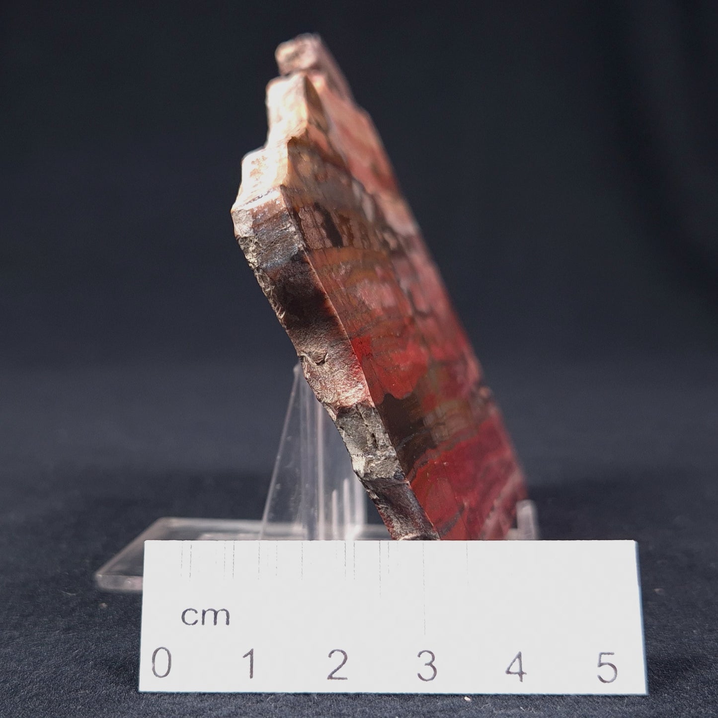 BANDED IRON FORMATION, Archean, Australia ZMB003