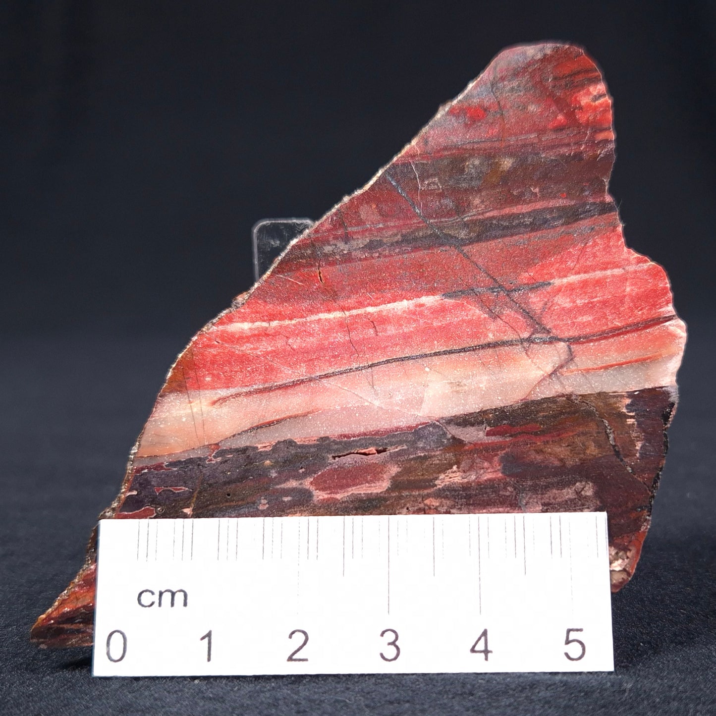 BANDED IRON FORMATION, Archean, Australia ZMB004