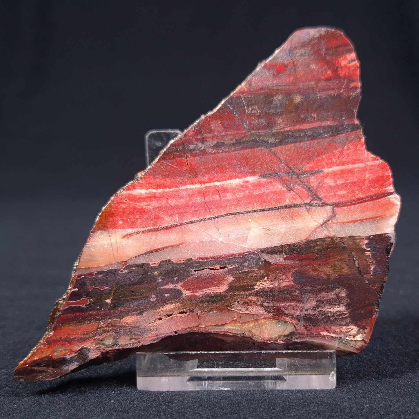 BANDED IRON FORMATION, Archean, Australia ZMB004