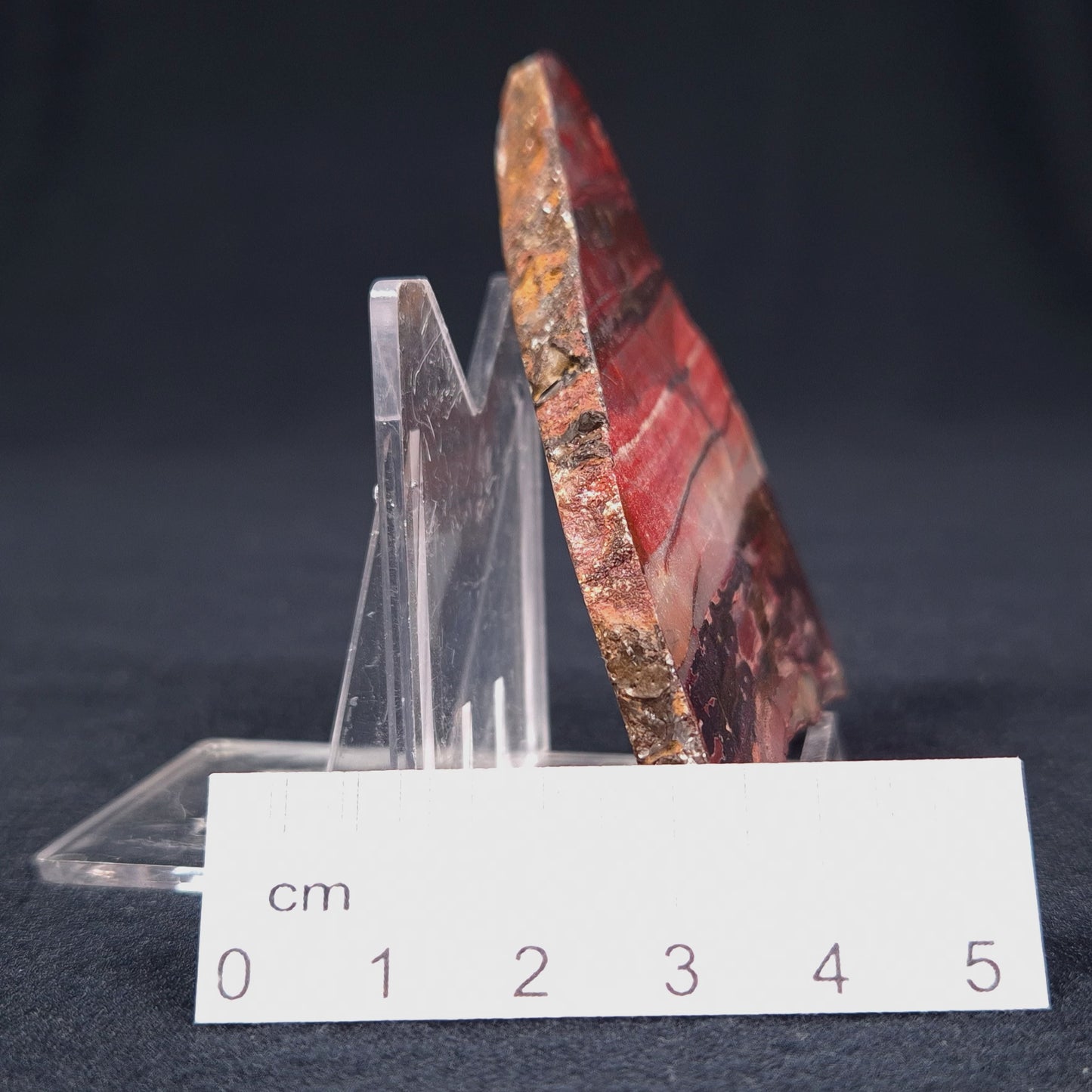BANDED IRON FORMATION, Archean, Australia ZMB004
