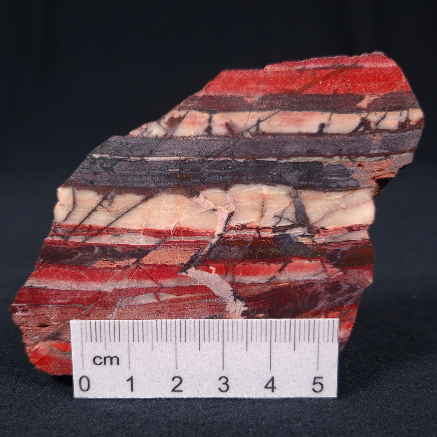 BANDED IRON FORMATION, Archean, Australia ZMB005