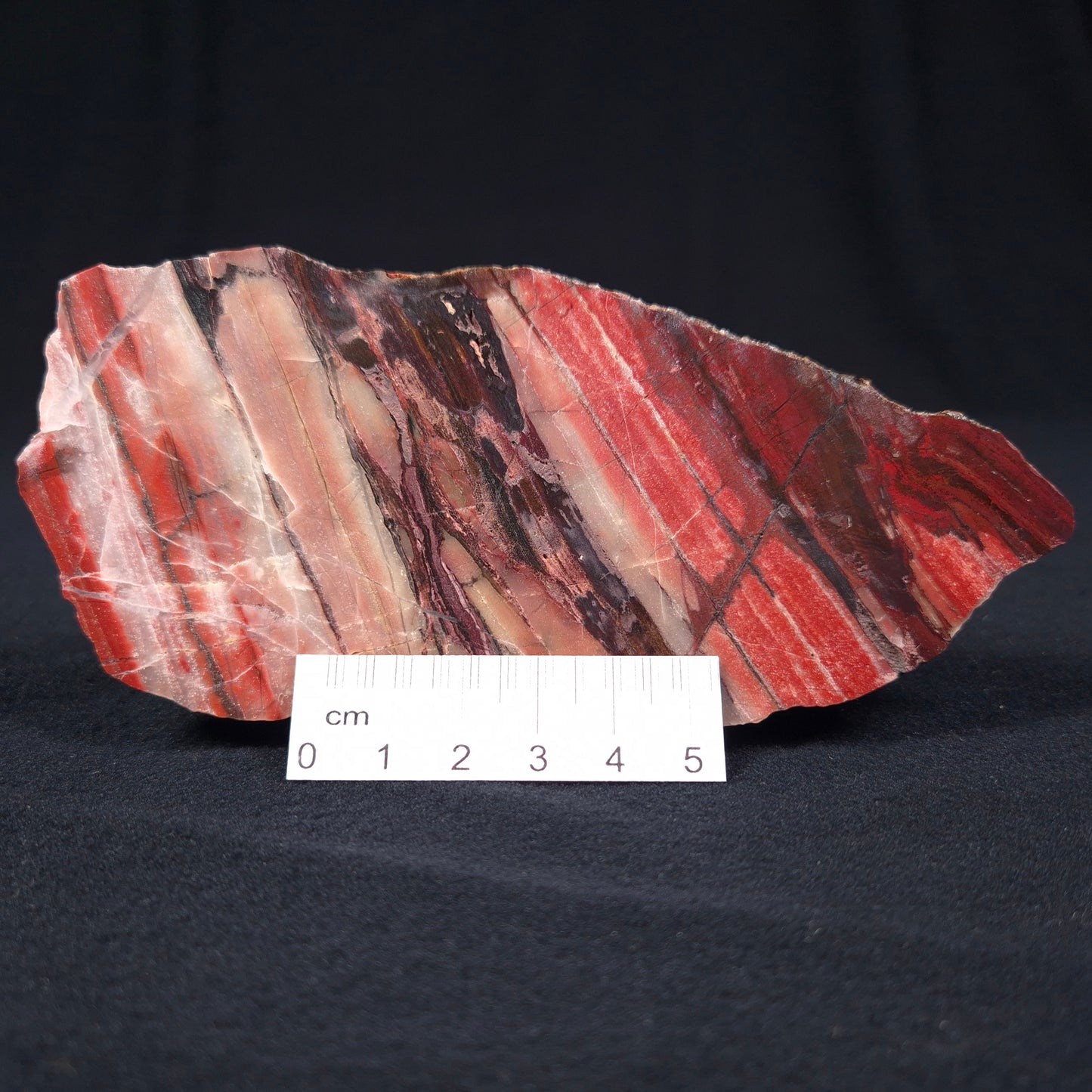 BANDED IRON FORMATION, Archean, Australia ZMB006