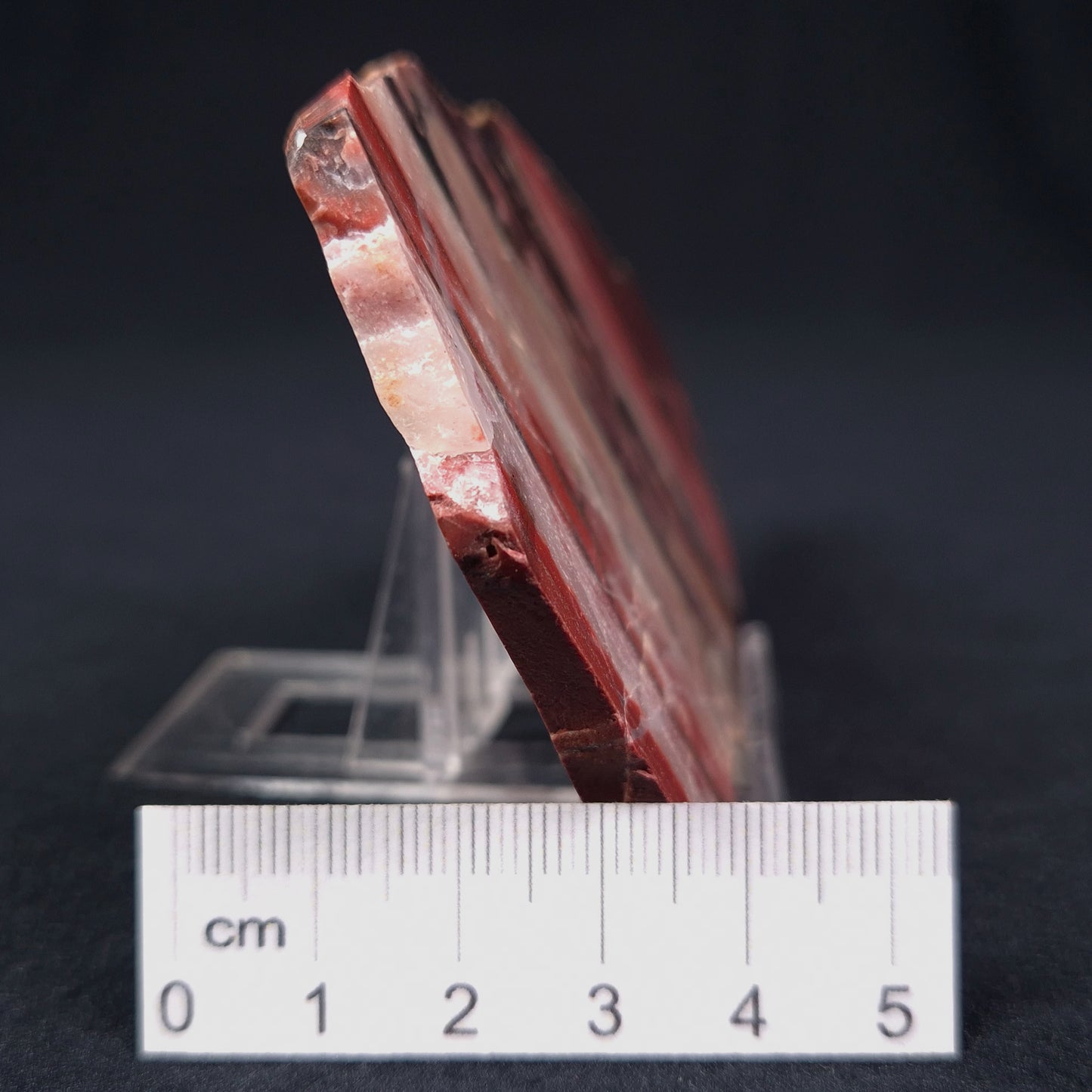BANDED IRON FORMATION, Archean, Australia ZMB006