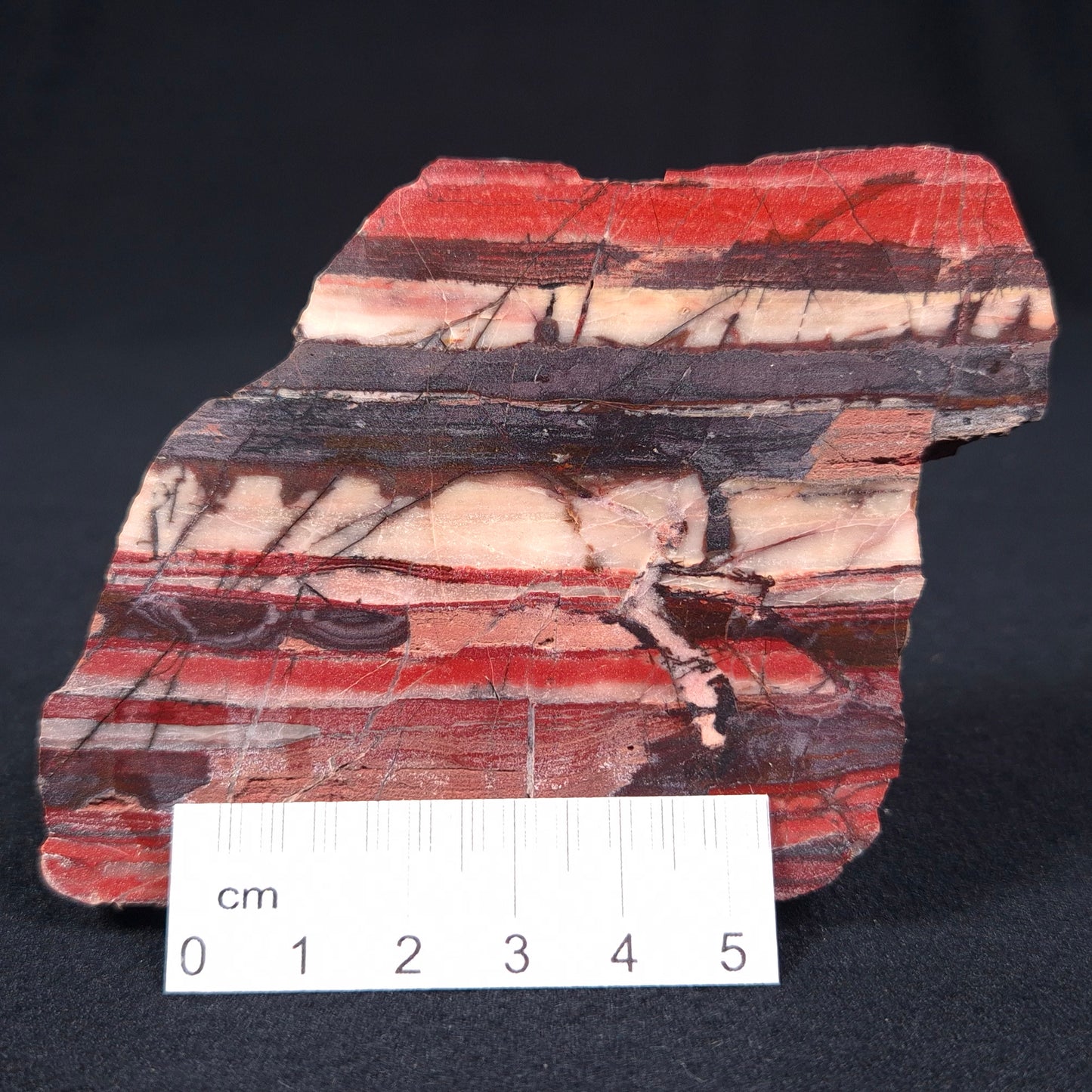 BANDED IRON FORMATION, Archean, Australia ZMB007
