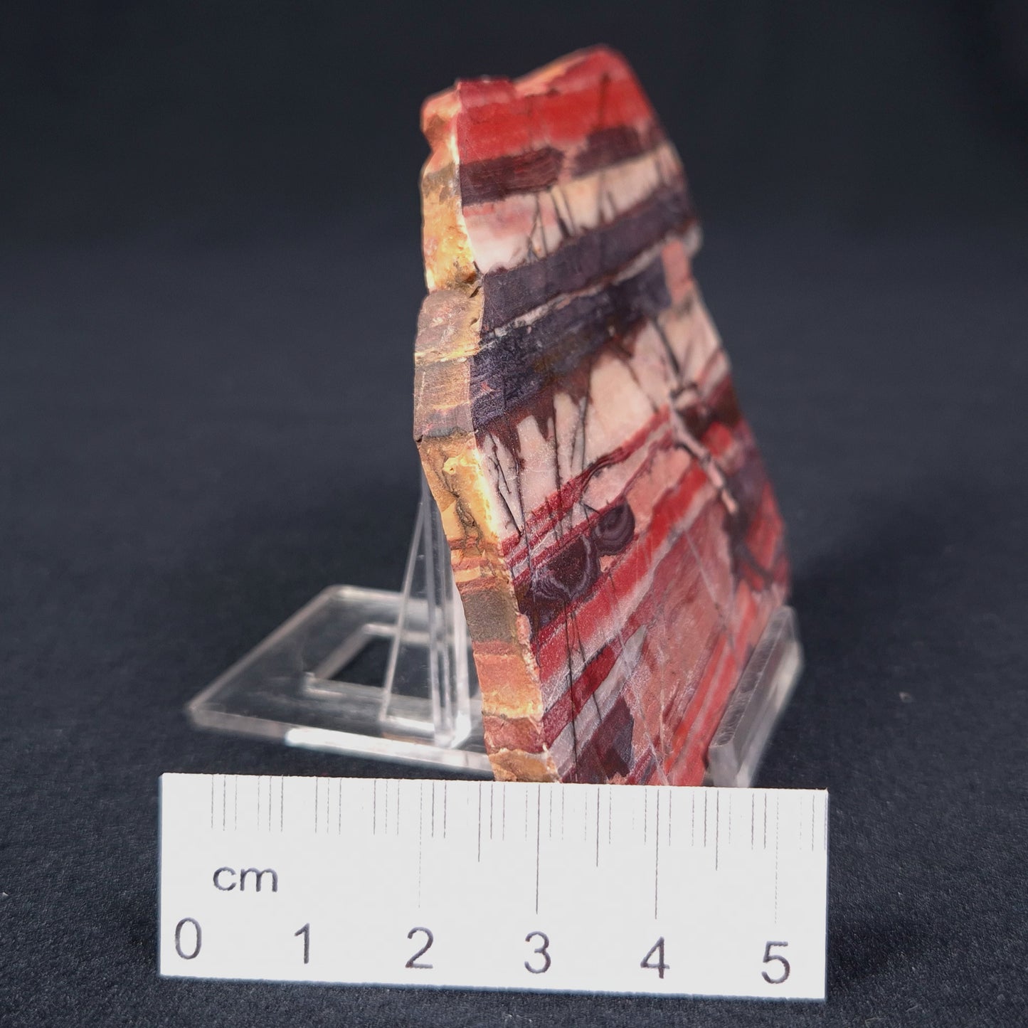 BANDED IRON FORMATION, Archean, Australia ZMB007