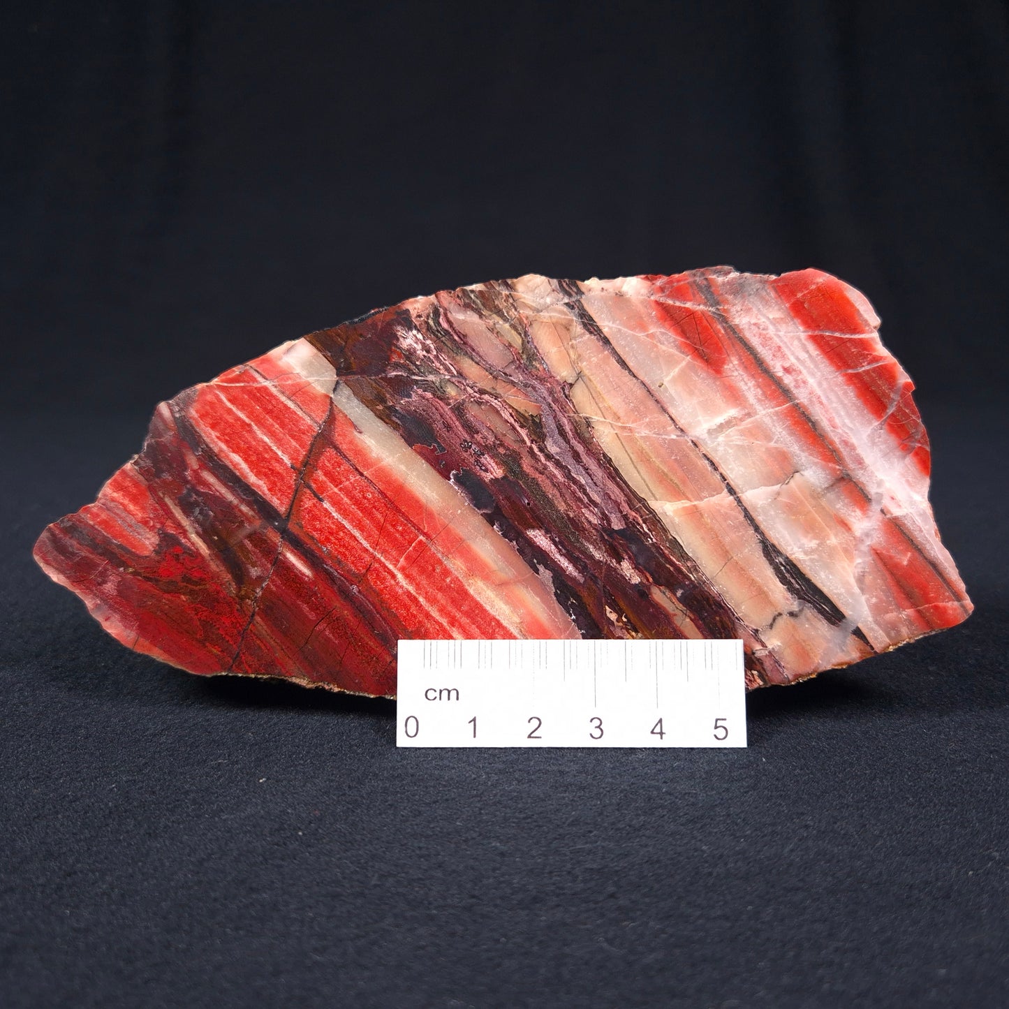 BANDED IRON FORMATION, Archean, Australia ZMB008