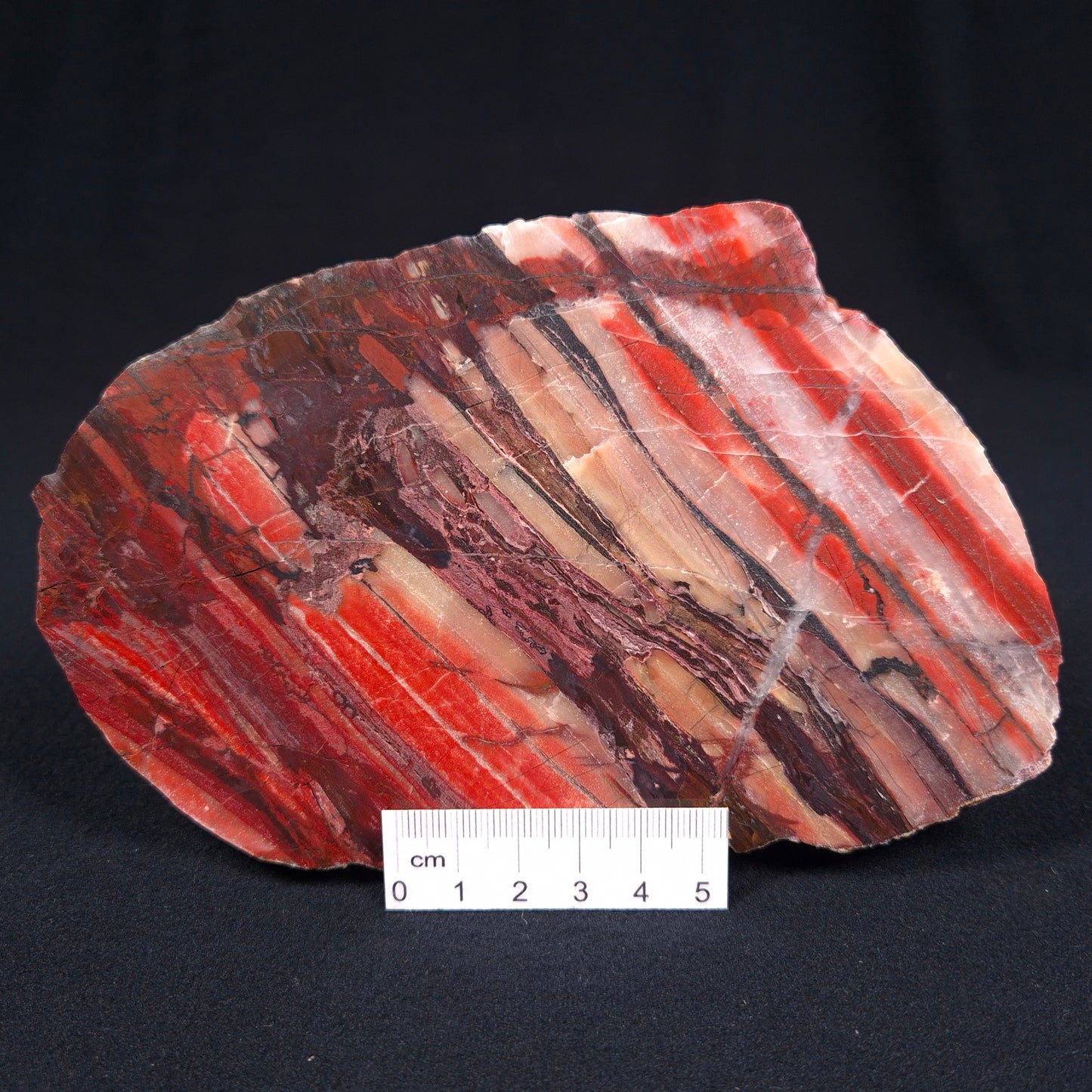 BANDED IRON FORMATION, Archean, Australia ZMB009