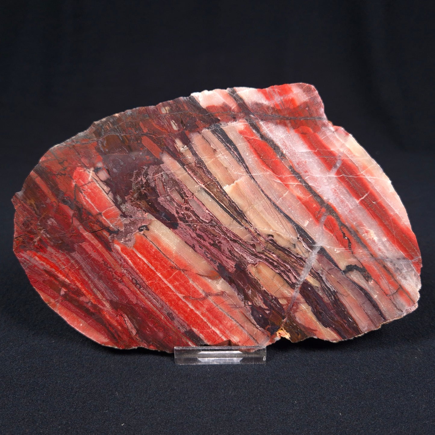 BANDED IRON FORMATION, Archean, Australia ZMB009