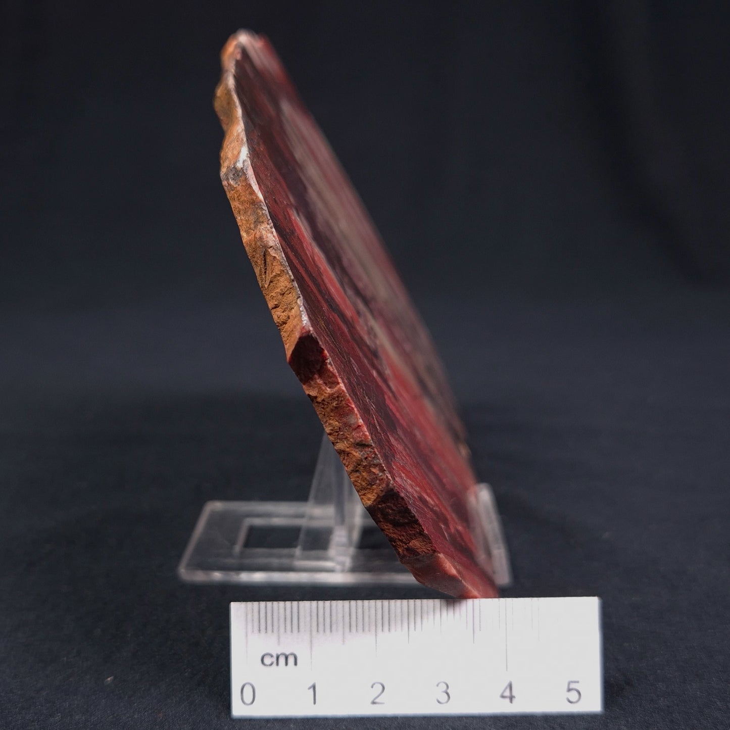 BANDED IRON FORMATION, Archean, Australia ZMB009