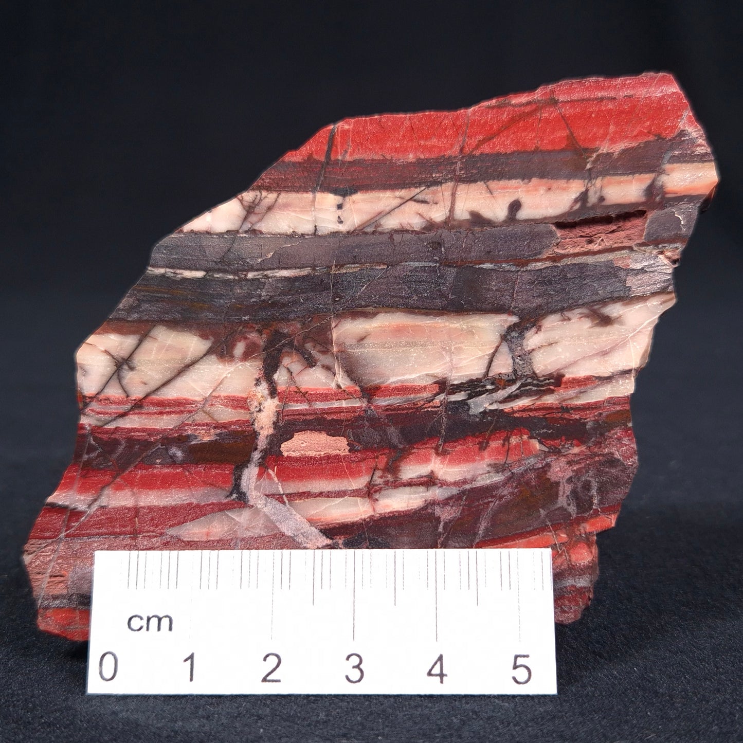 BANDED IRON FORMATION, Archean, Australia ZMB010
