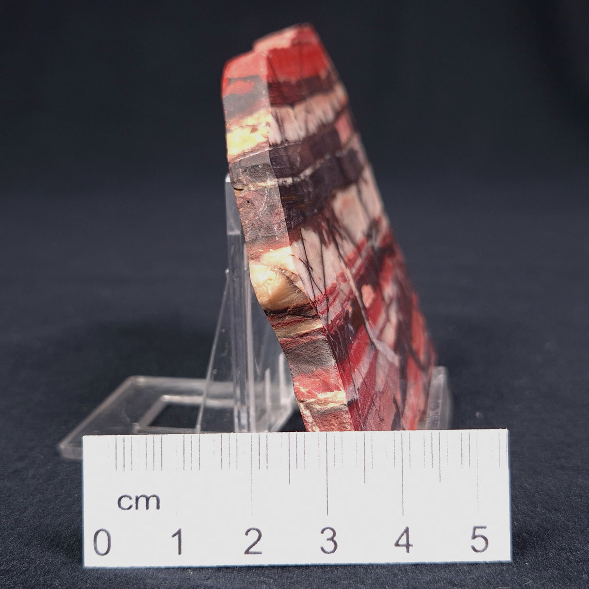 BANDED IRON FORMATION, Archean, Australia ZMB010