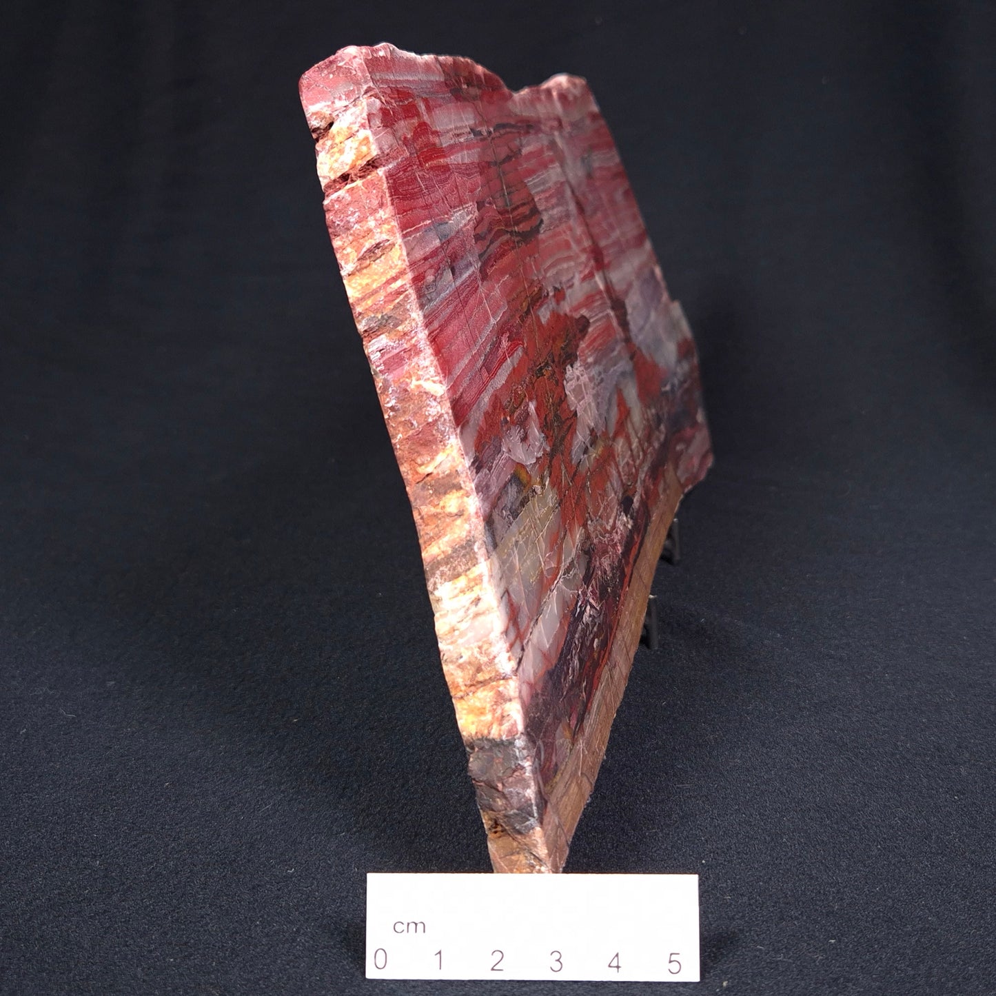 BANDED IRON FORMATION, Archean, Australia ZMB011
