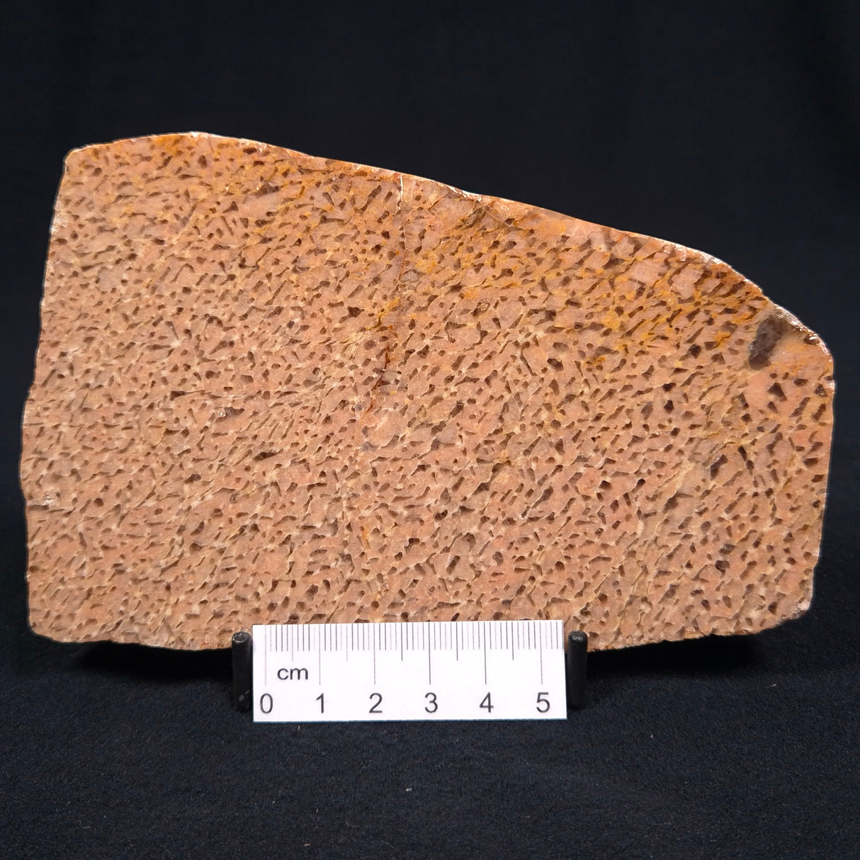 GRAPHIC FELDSPAR WITH SMOKY QUARTZ, Australia YSC010