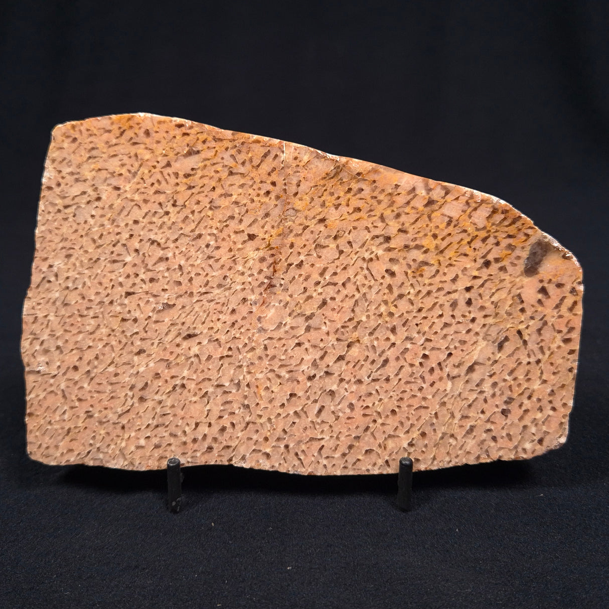 GRAPHIC FELDSPAR WITH SMOKY QUARTZ, Australia YSC010