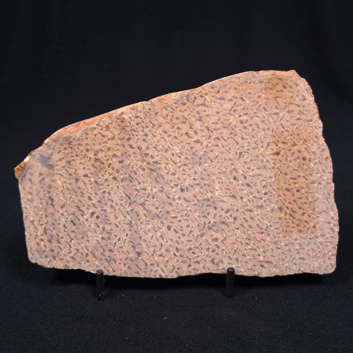 GRAPHIC FELDSPAR WITH SMOKY QUARTZ, Australia YSC010