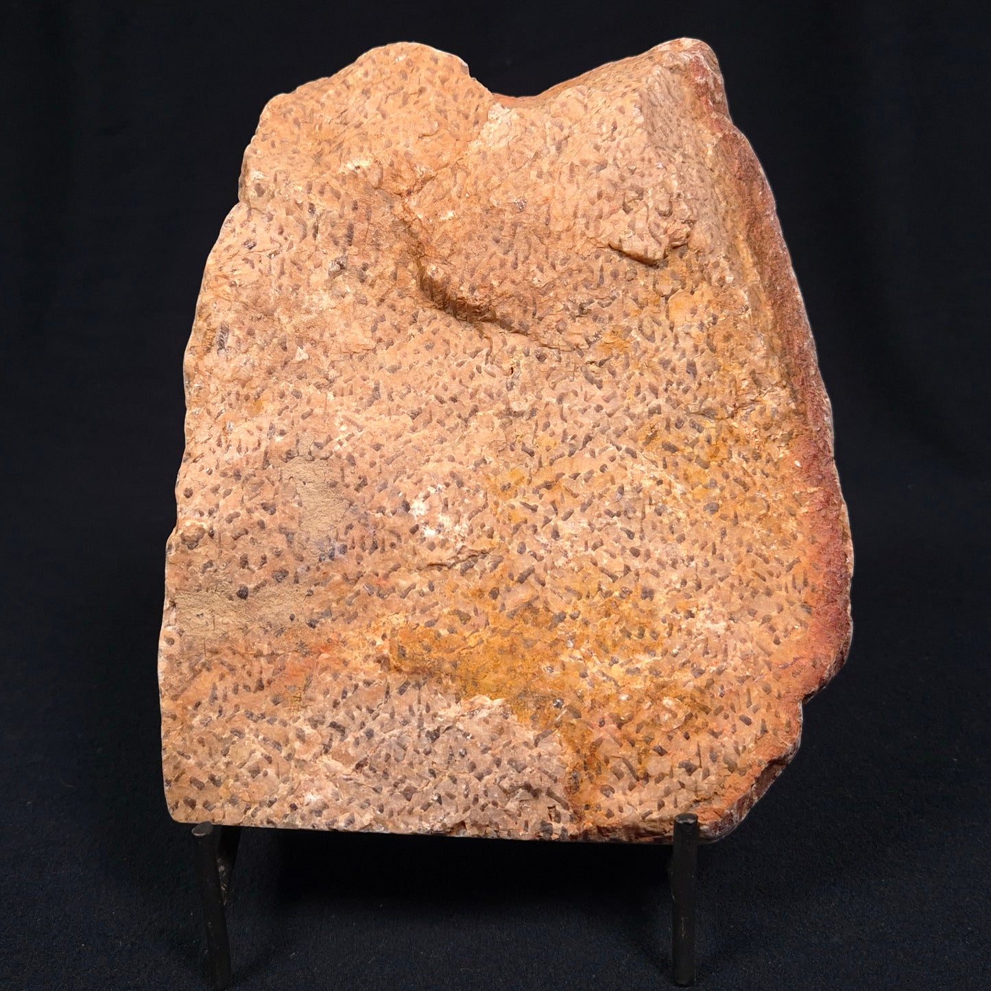 Graphic Feldspar with Smoky Quartz from Australia Polished YSC011