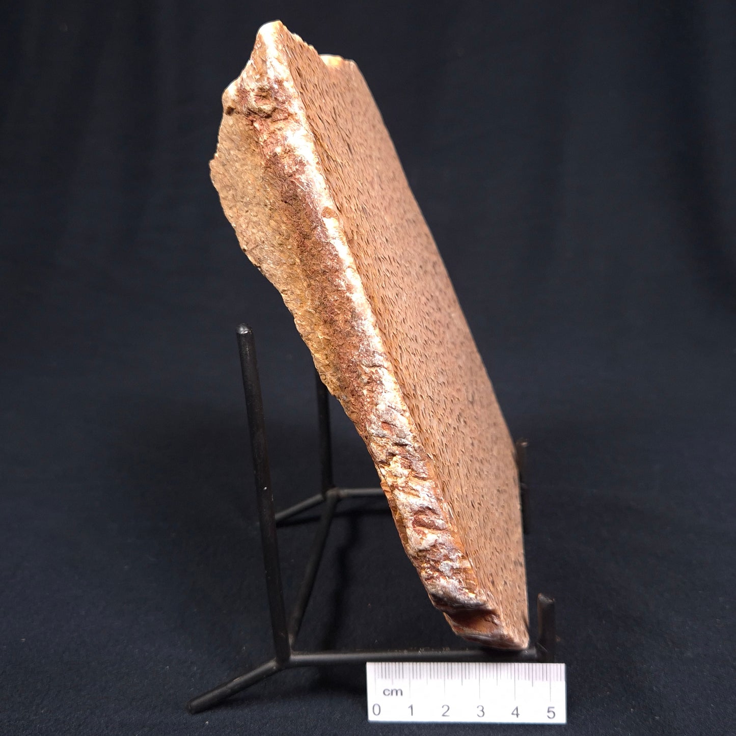 Graphic Feldspar with Smoky Quartz from Australia Polished YSC011