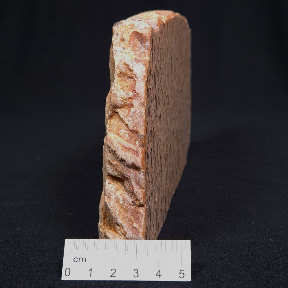 GRAPHIC FELDSPAR WITH SMOKY QUARTZ, Australia YSC012