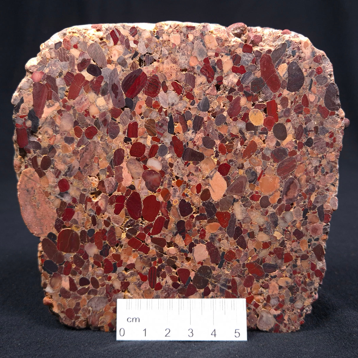 CONGLOMERATE, Australia YSC016