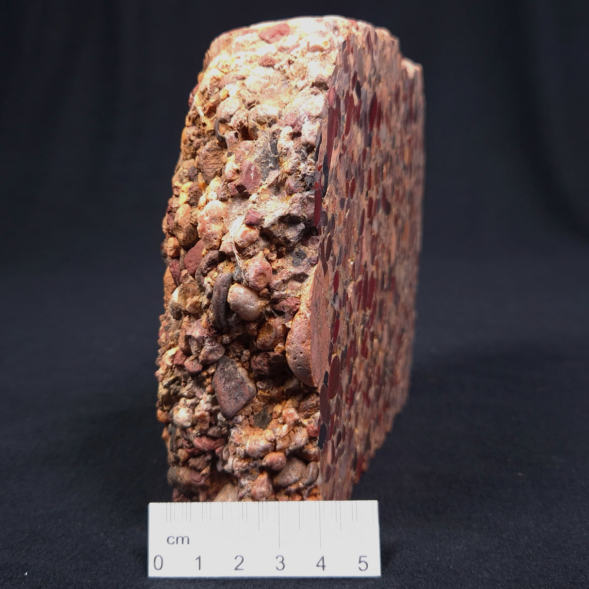 CONGLOMERATE, Australia YSC016