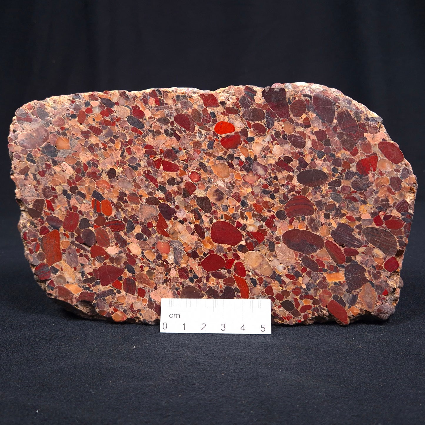 CONGLOMERATE, Australia YSC017