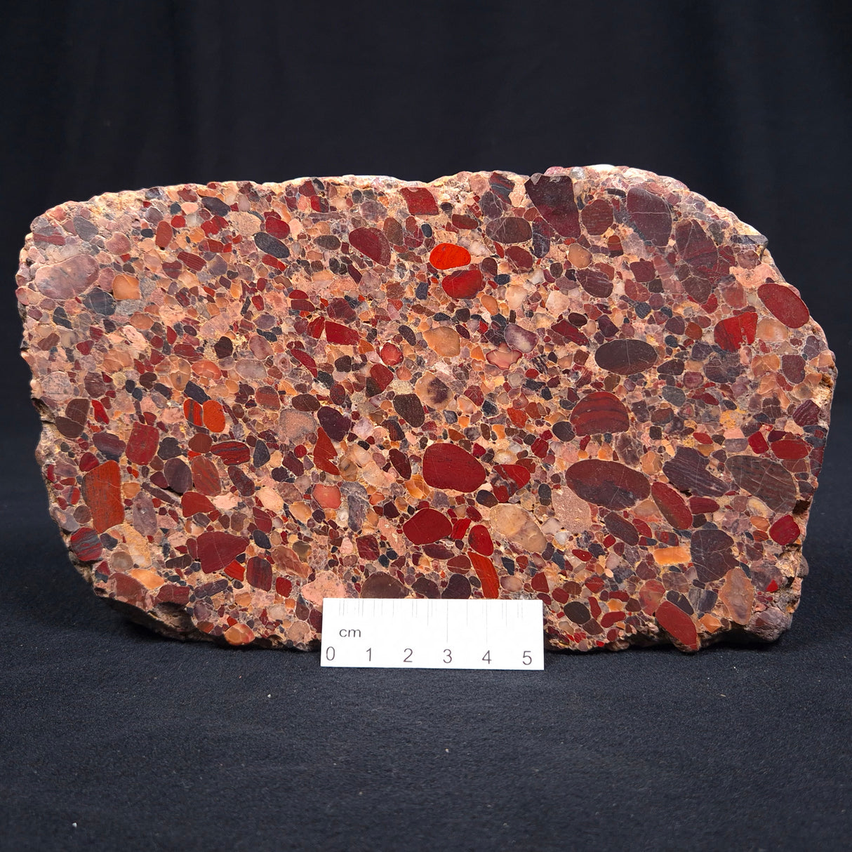 CONGLOMERATE, Australia YSC017