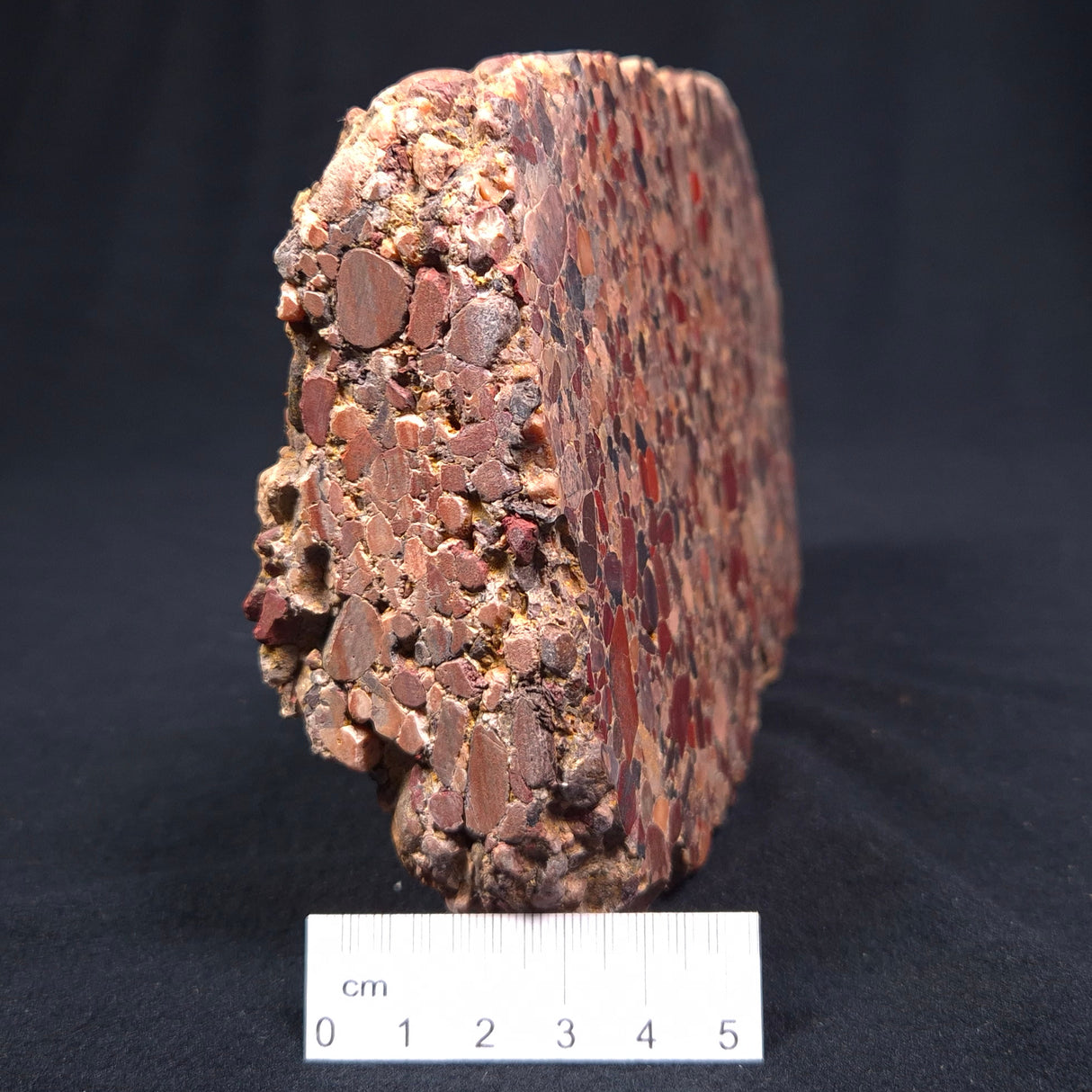 CONGLOMERATE, Australia YSC017