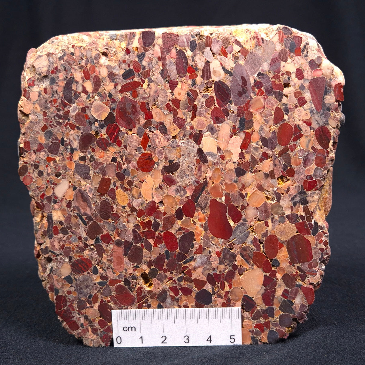 CONGLOMERATE, Australia YSC018