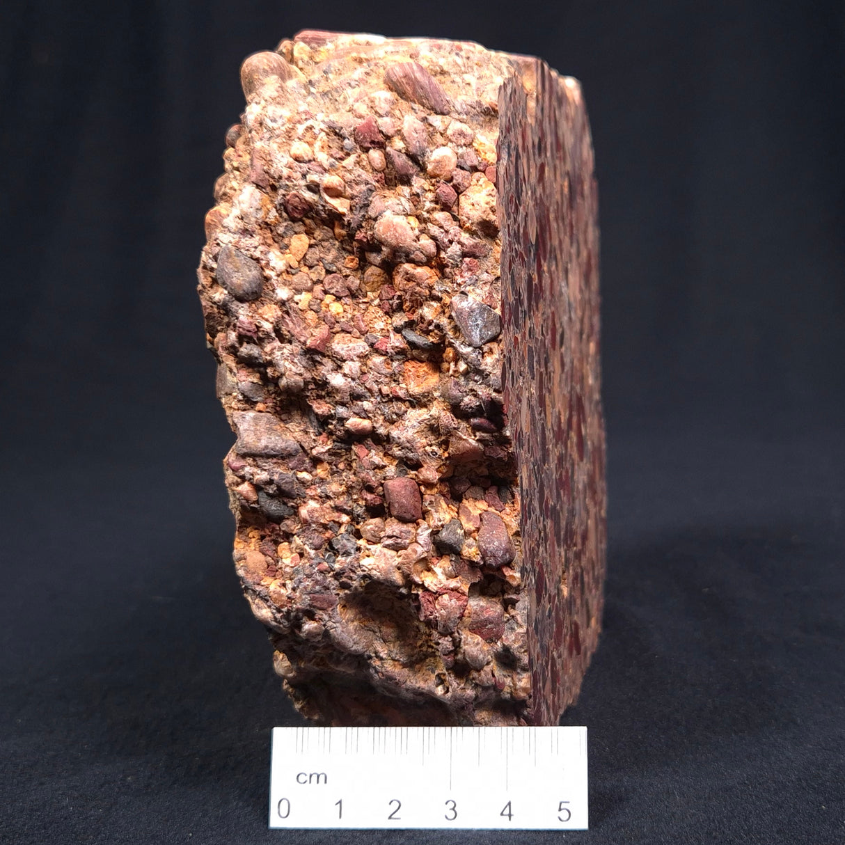 CONGLOMERATE, Australia YSC018