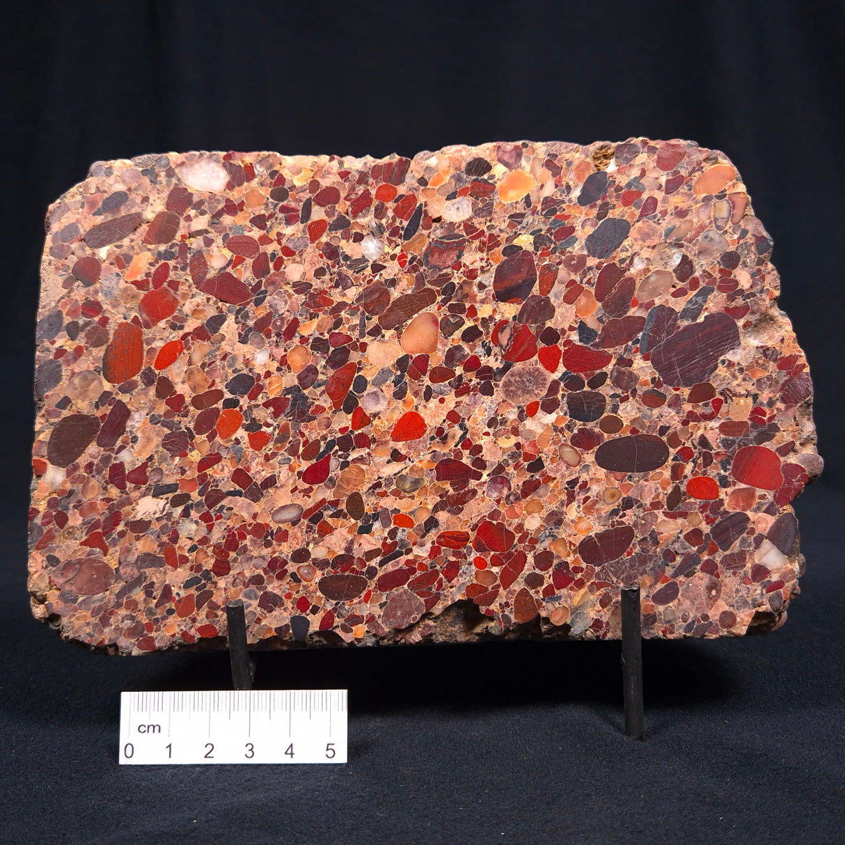 CONGLOMERATE, Australia YSC019