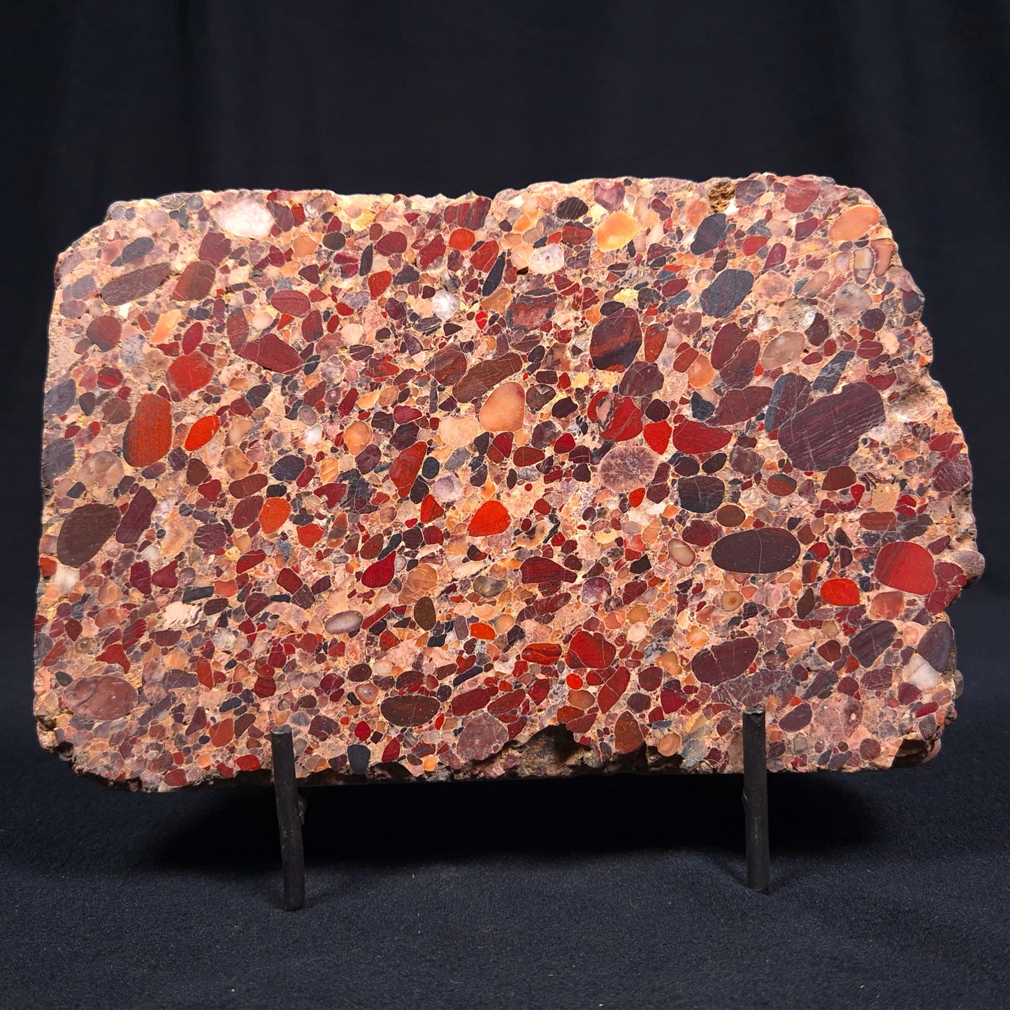 CONGLOMERATE, Australia YSC019