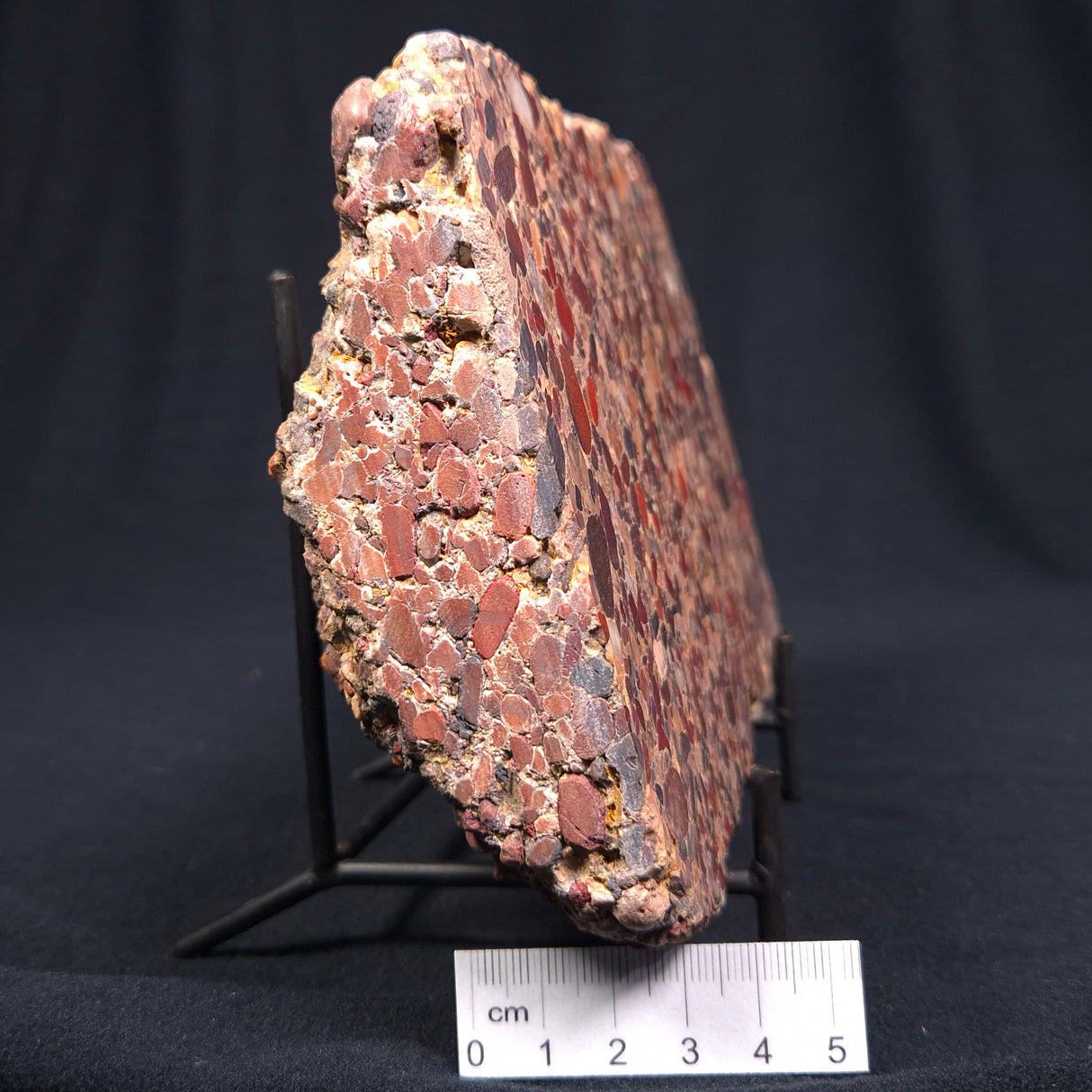 CONGLOMERATE, Australia YSC019