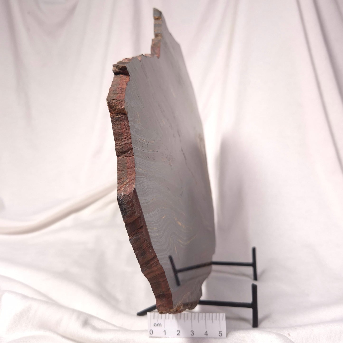 BANDED TIGER IRON MICROBIALITE, Archean, Australia ZBI027