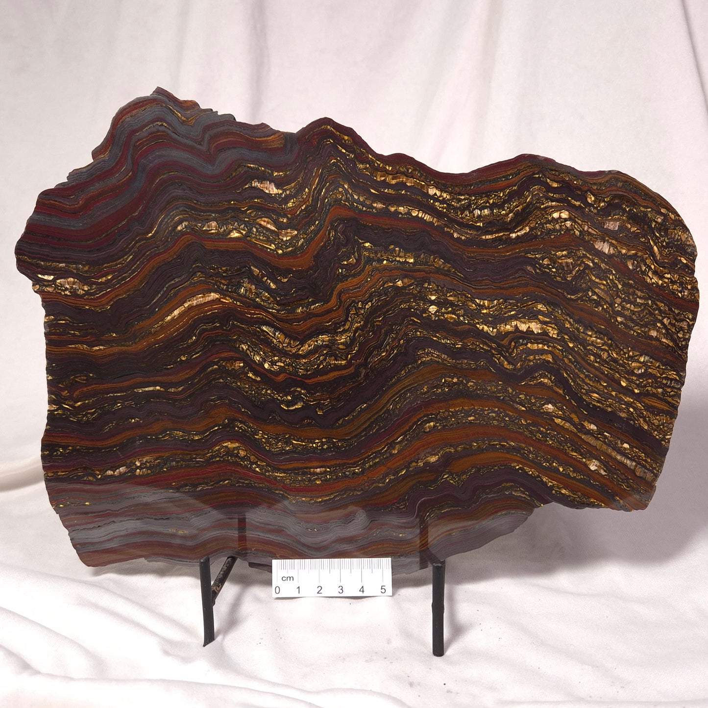 BANDED TIGER IRON MICROBIALITE, Archean, Australia ZBI028