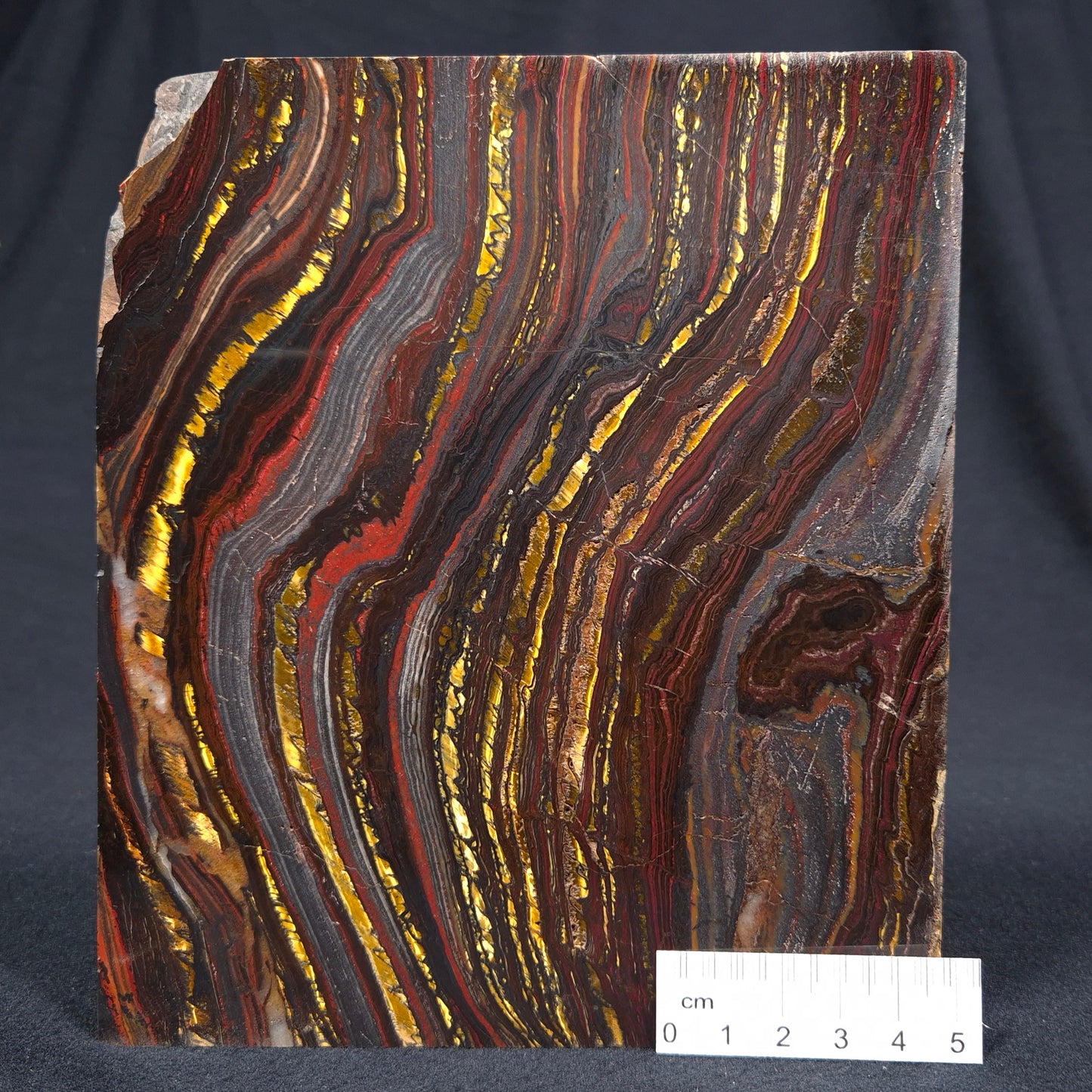 BANDED TIGER IRON MICROBIALITE, Archean, Australia ZBI029