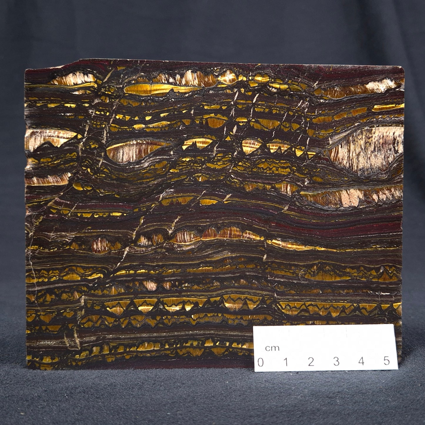 BANDED TIGER IRON MICROBIALITE, Archean, Australia ZBI030