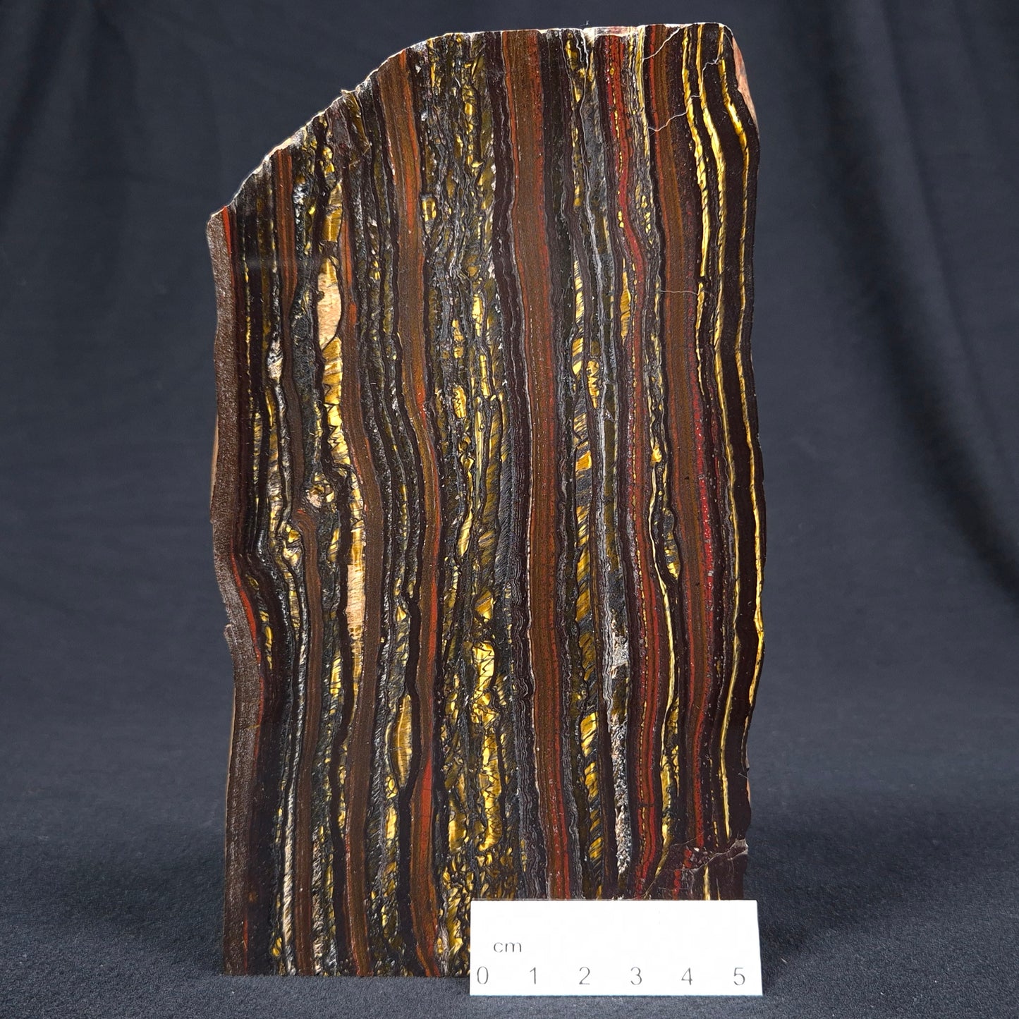 BANDED TIGER IRON MICROBIALITE, Archean, Australia ZBI031