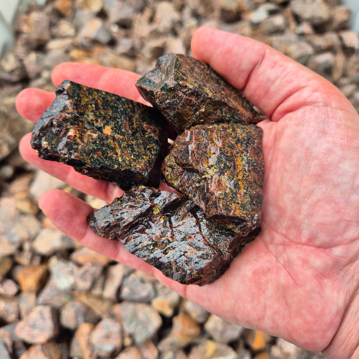 SMALL GARNET Rough by Weight, India ZRR001