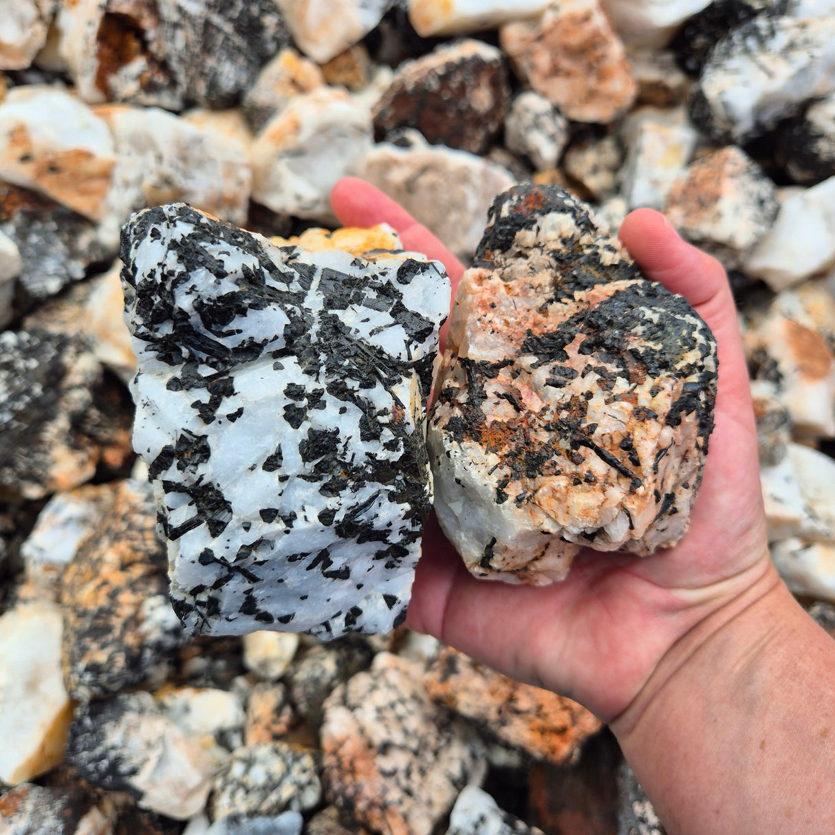 TOURMALINE IN QUARTZ Rough by Weight, India ZRR010