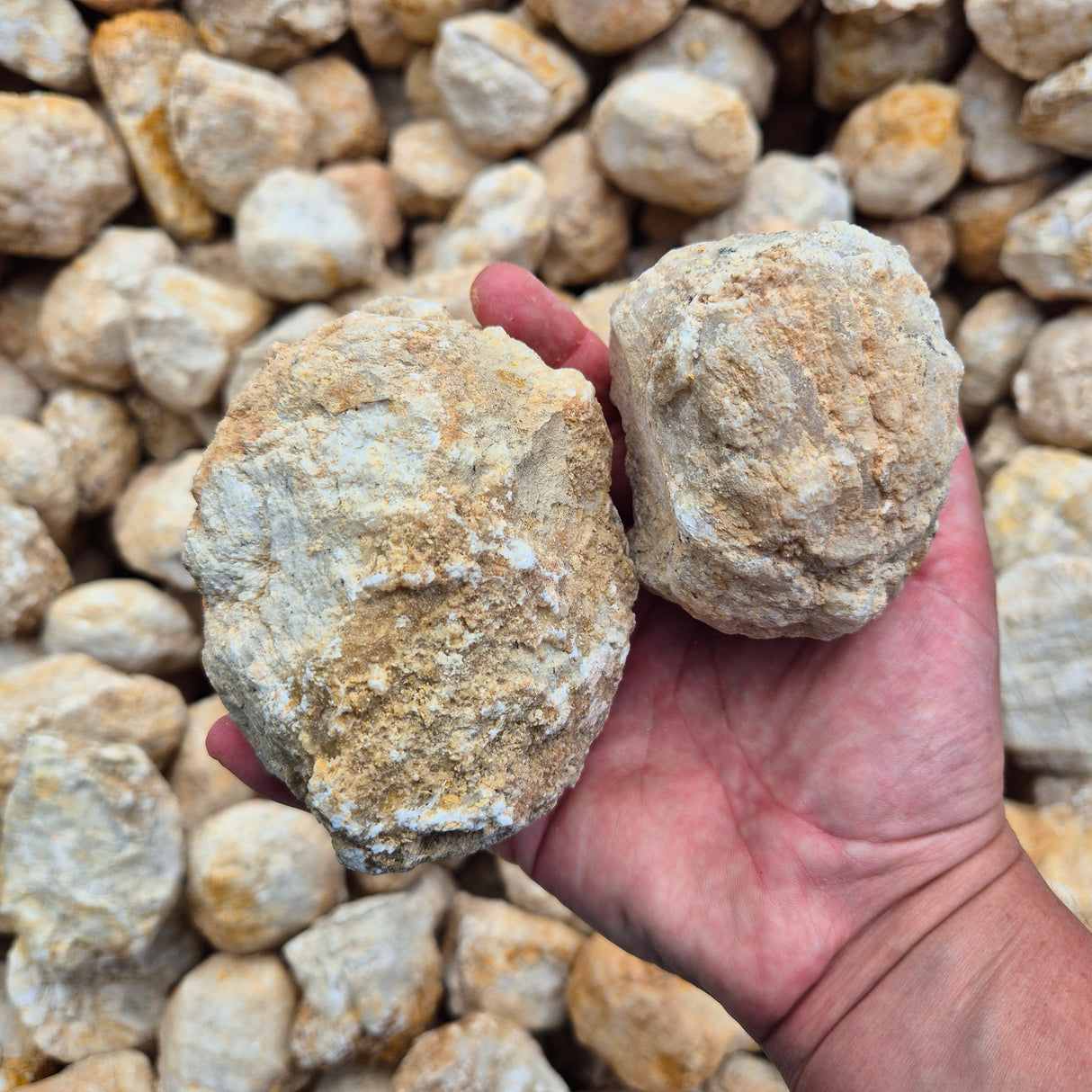 WHOLE GEODES Rough by Weight, Morocco ZRR012