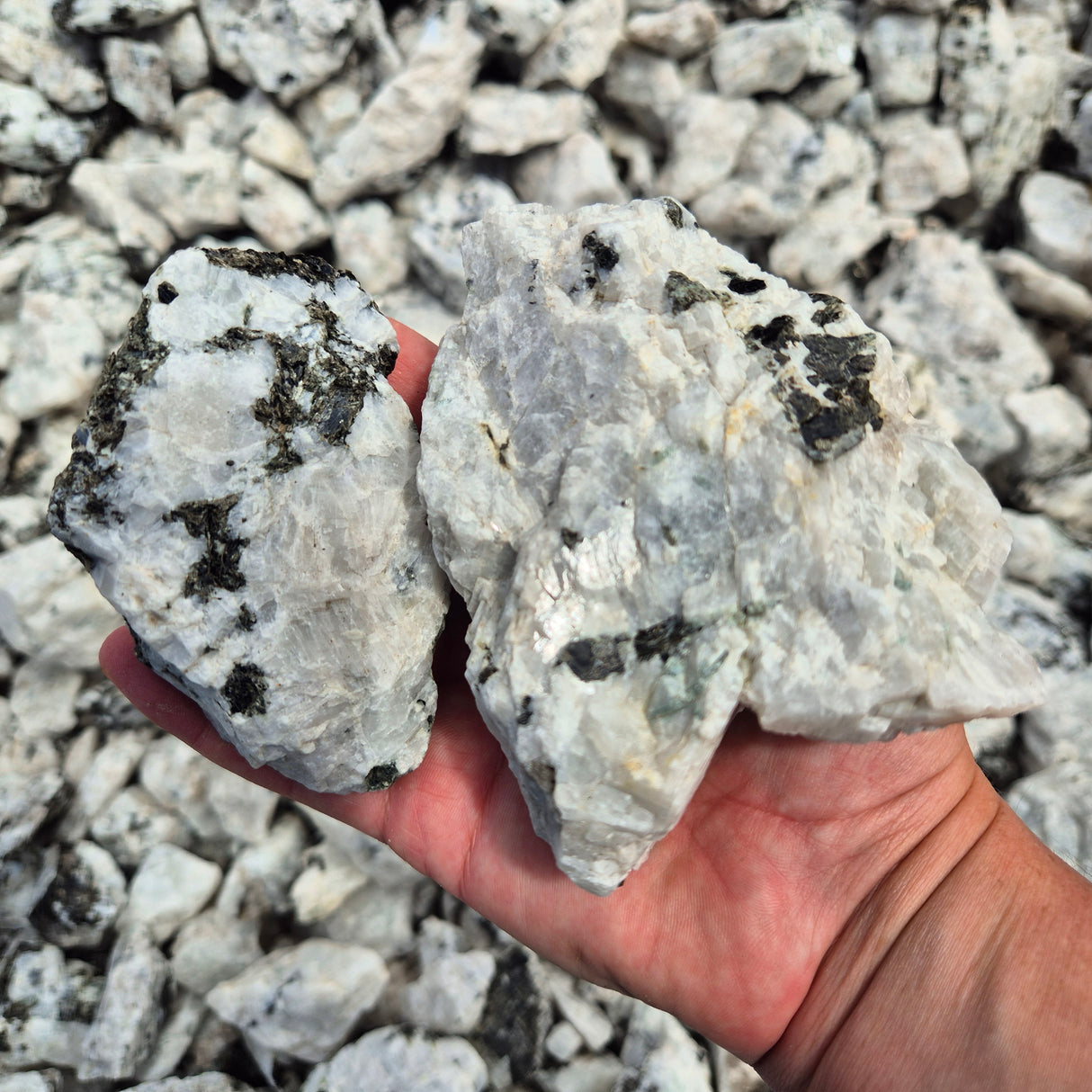 SMALL RAINBOW MOONSTONE Rough by Weight, India ZRR015