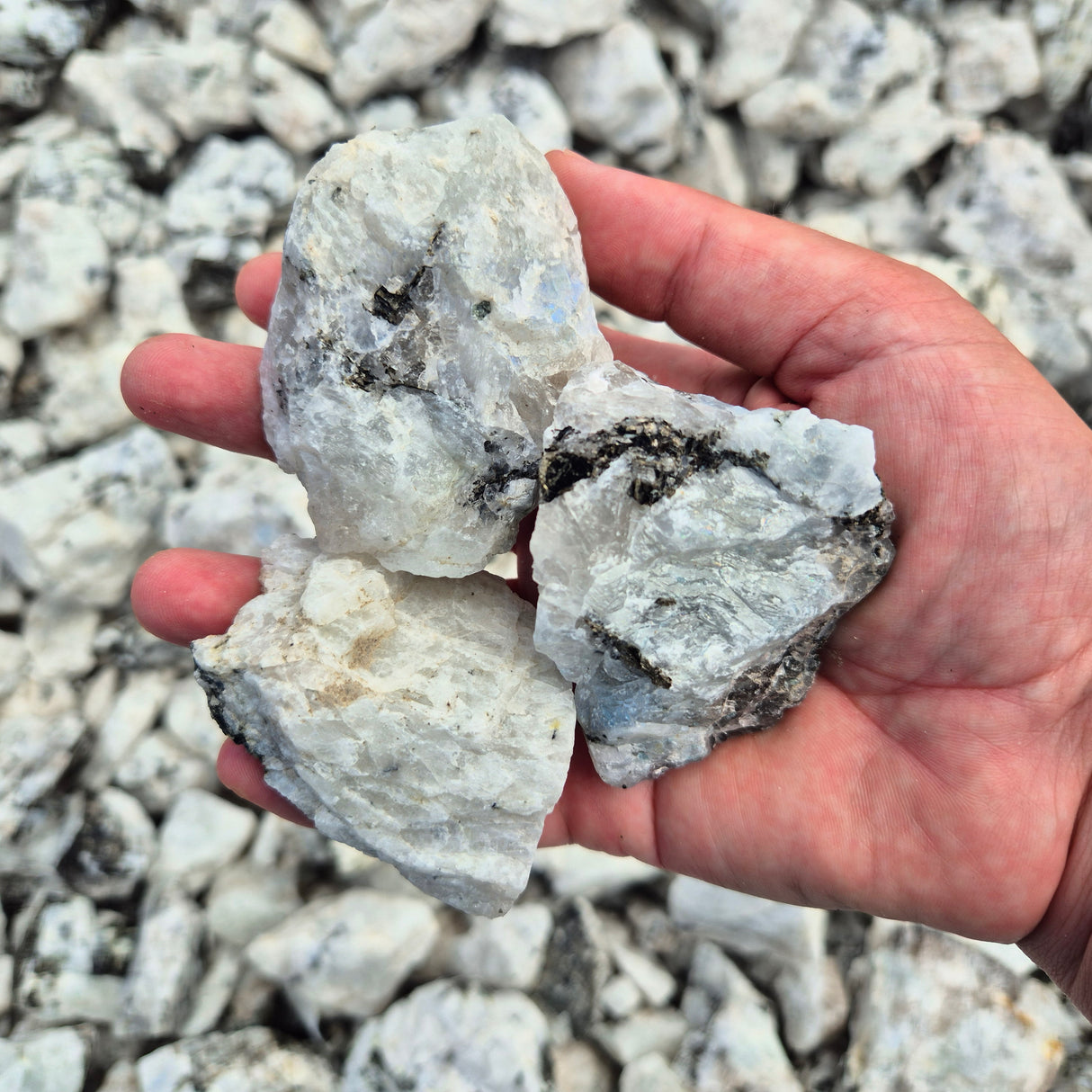 LARGE RAINBOW MOONSTONE Rough by Weight, India ZRR016